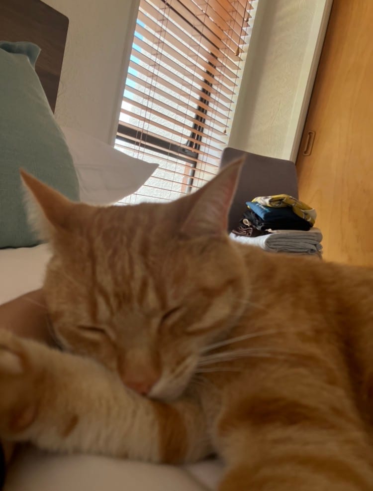 image-5
