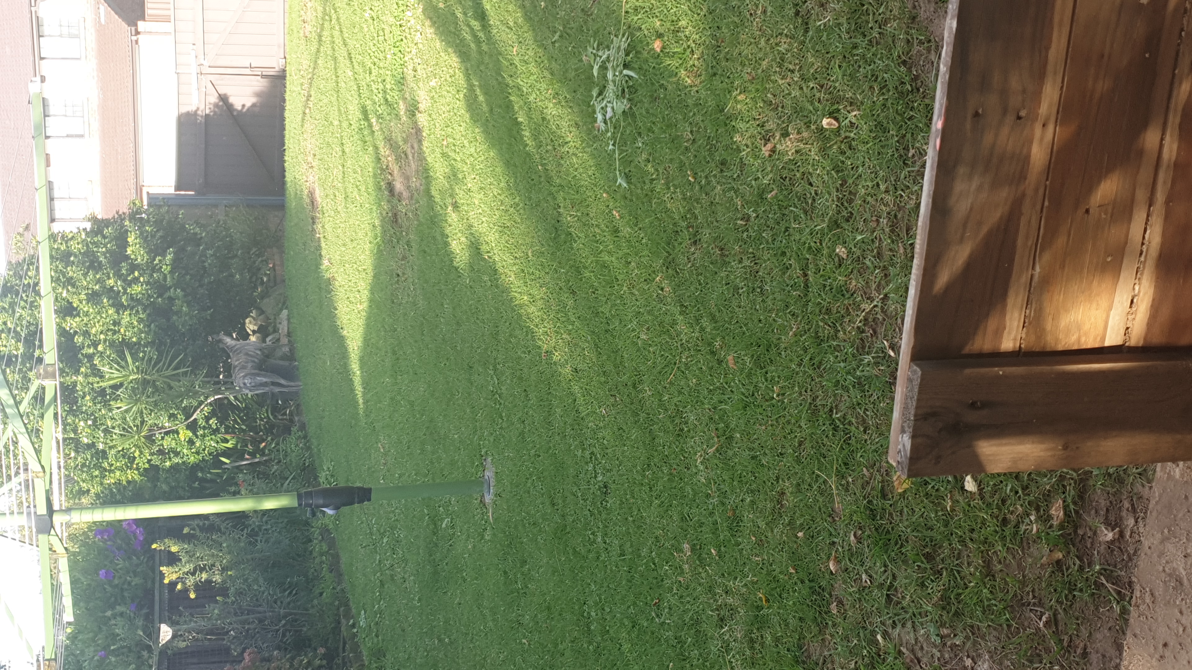 image-10