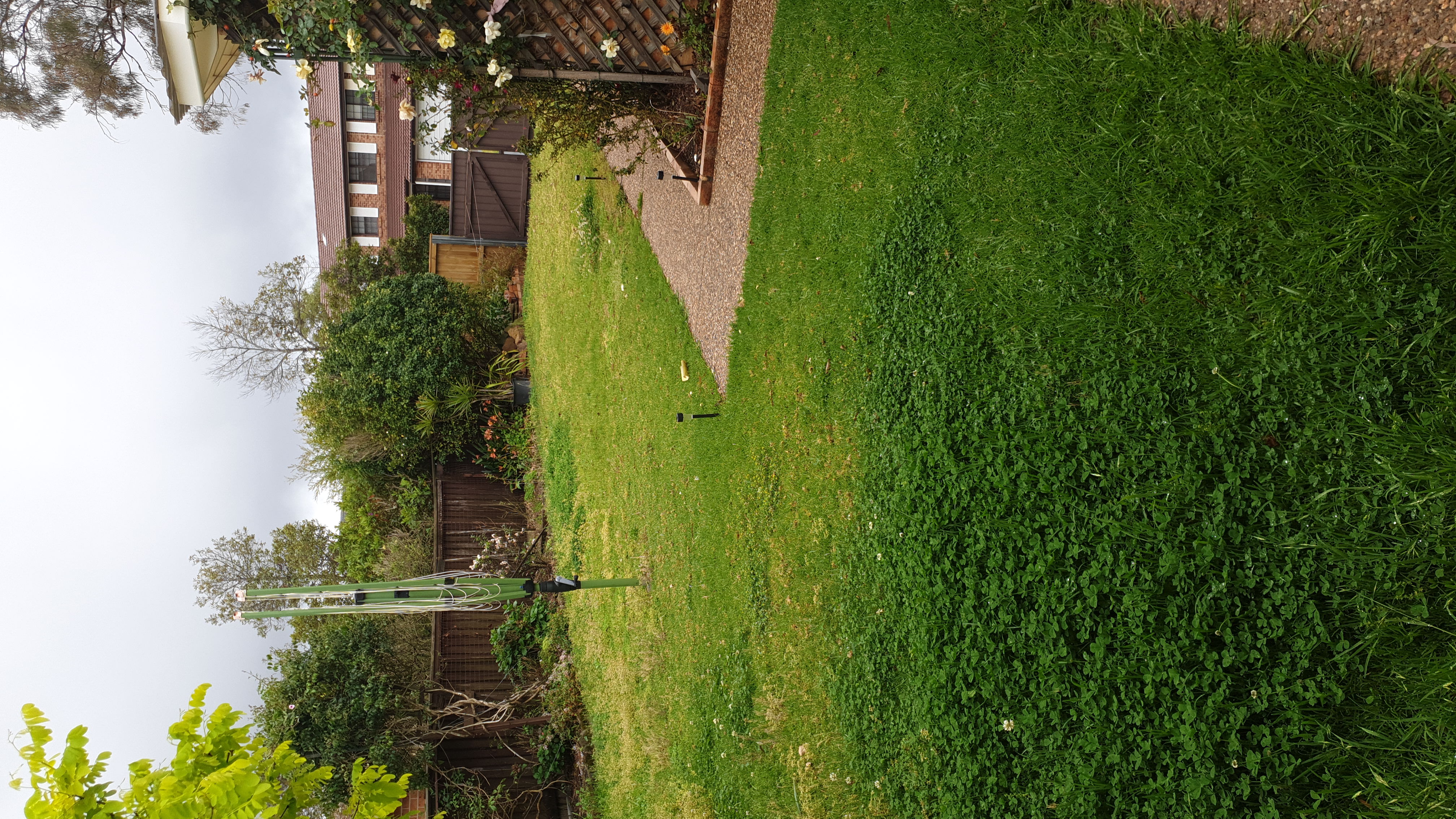 image-14
