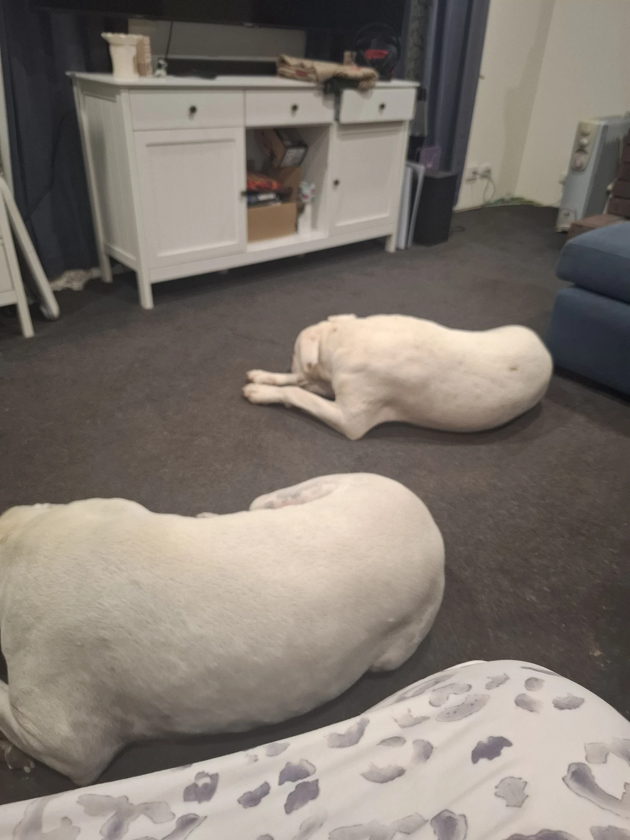 image-18