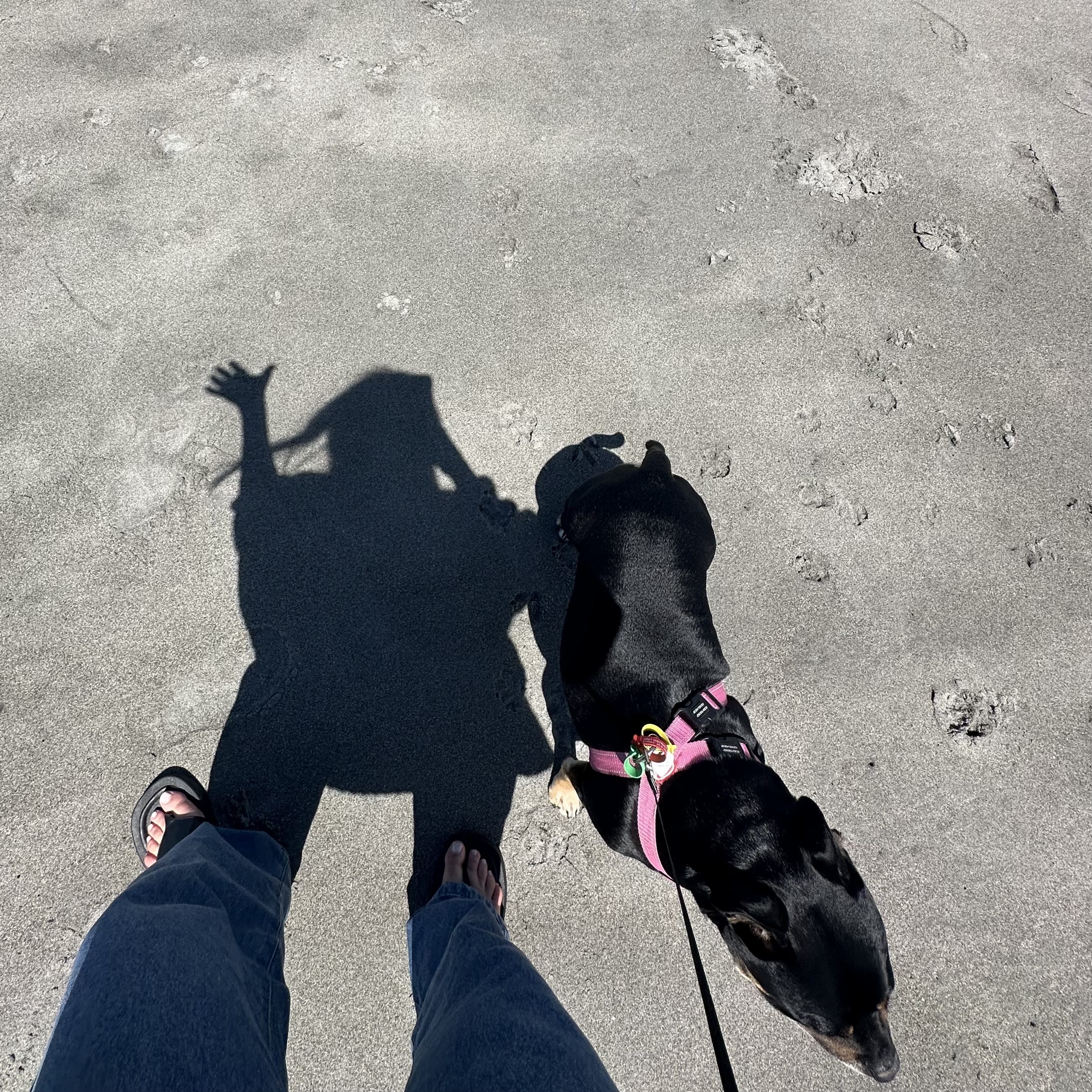 image-7