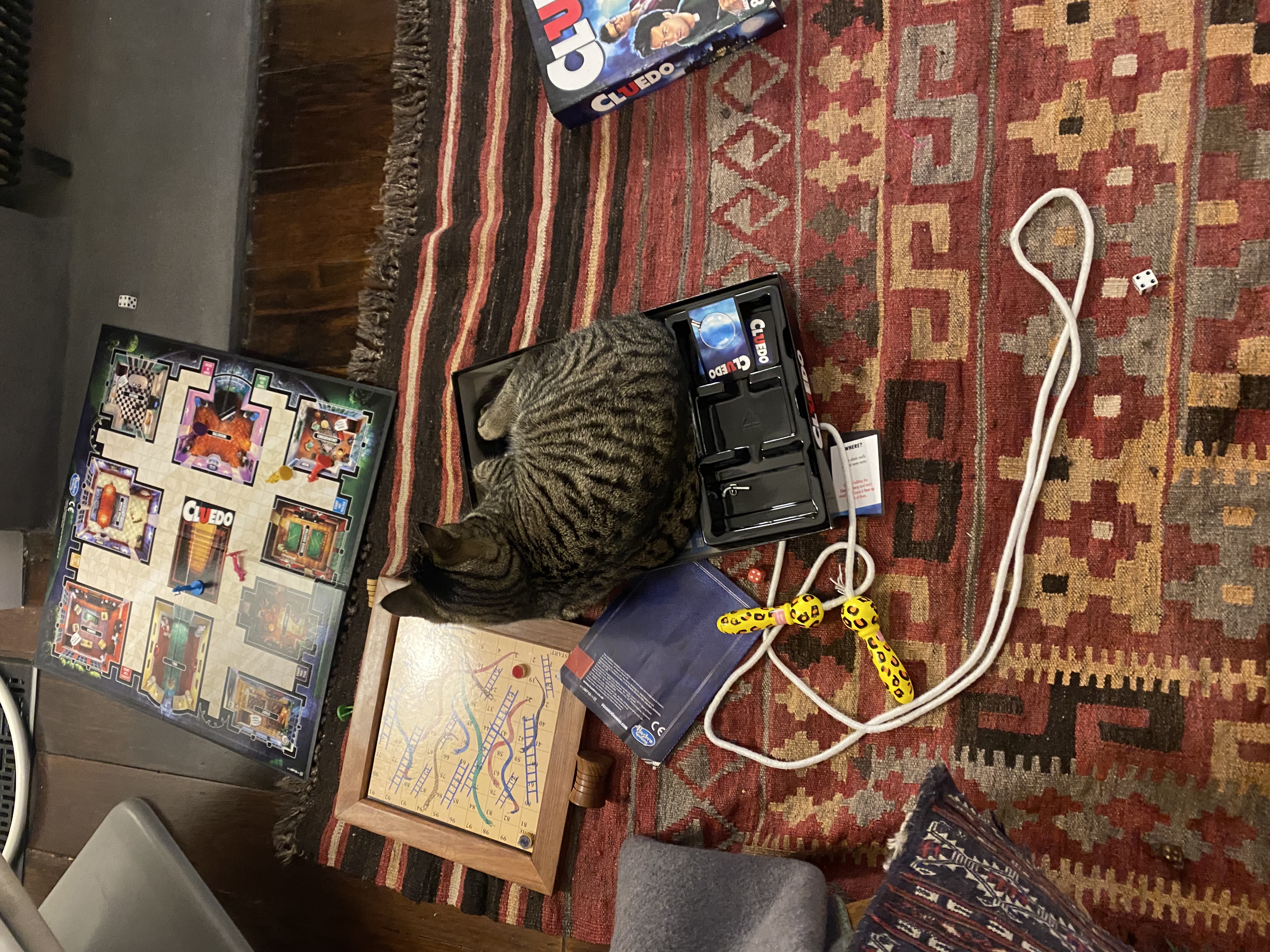 image-6