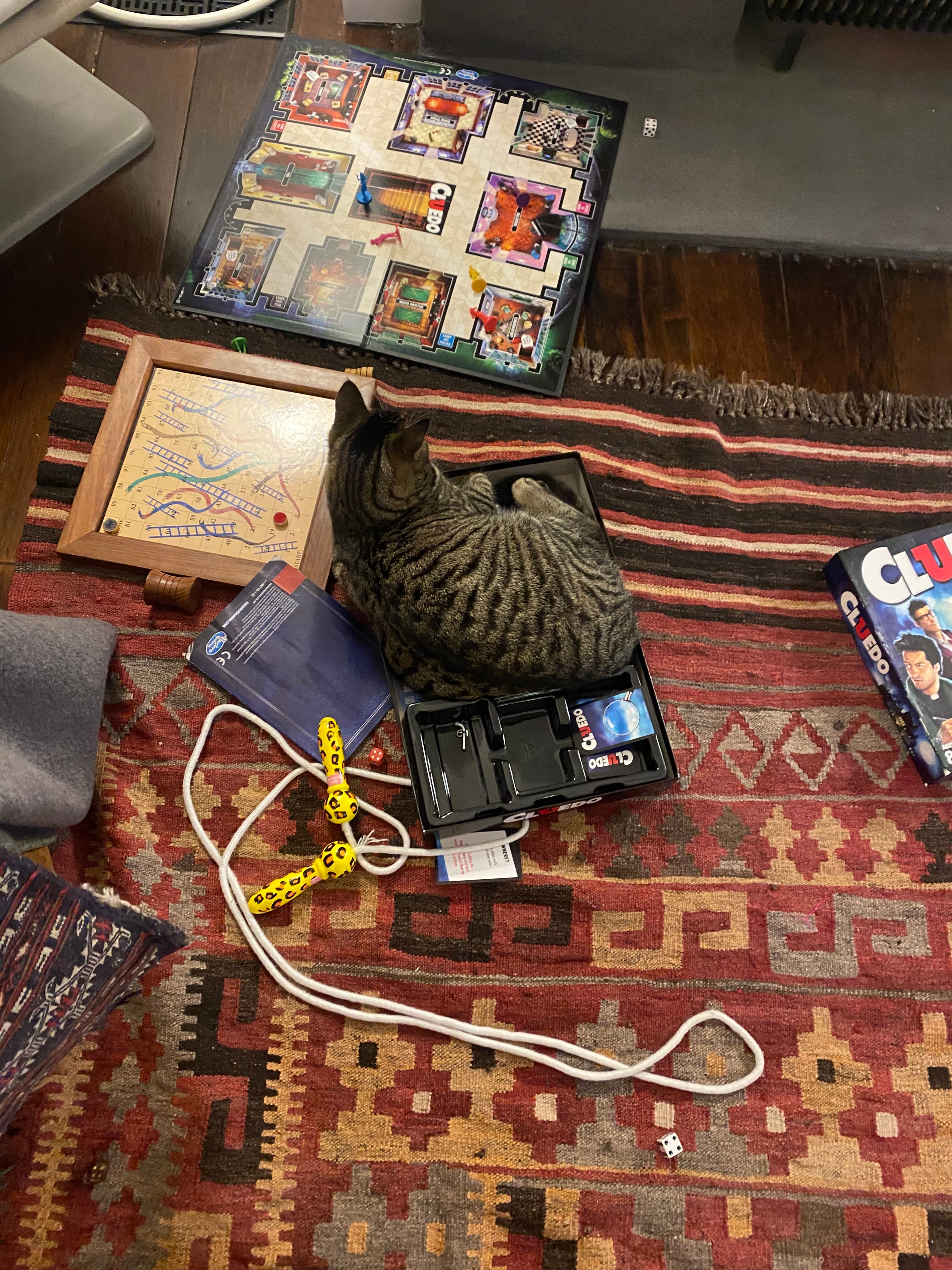 image-6