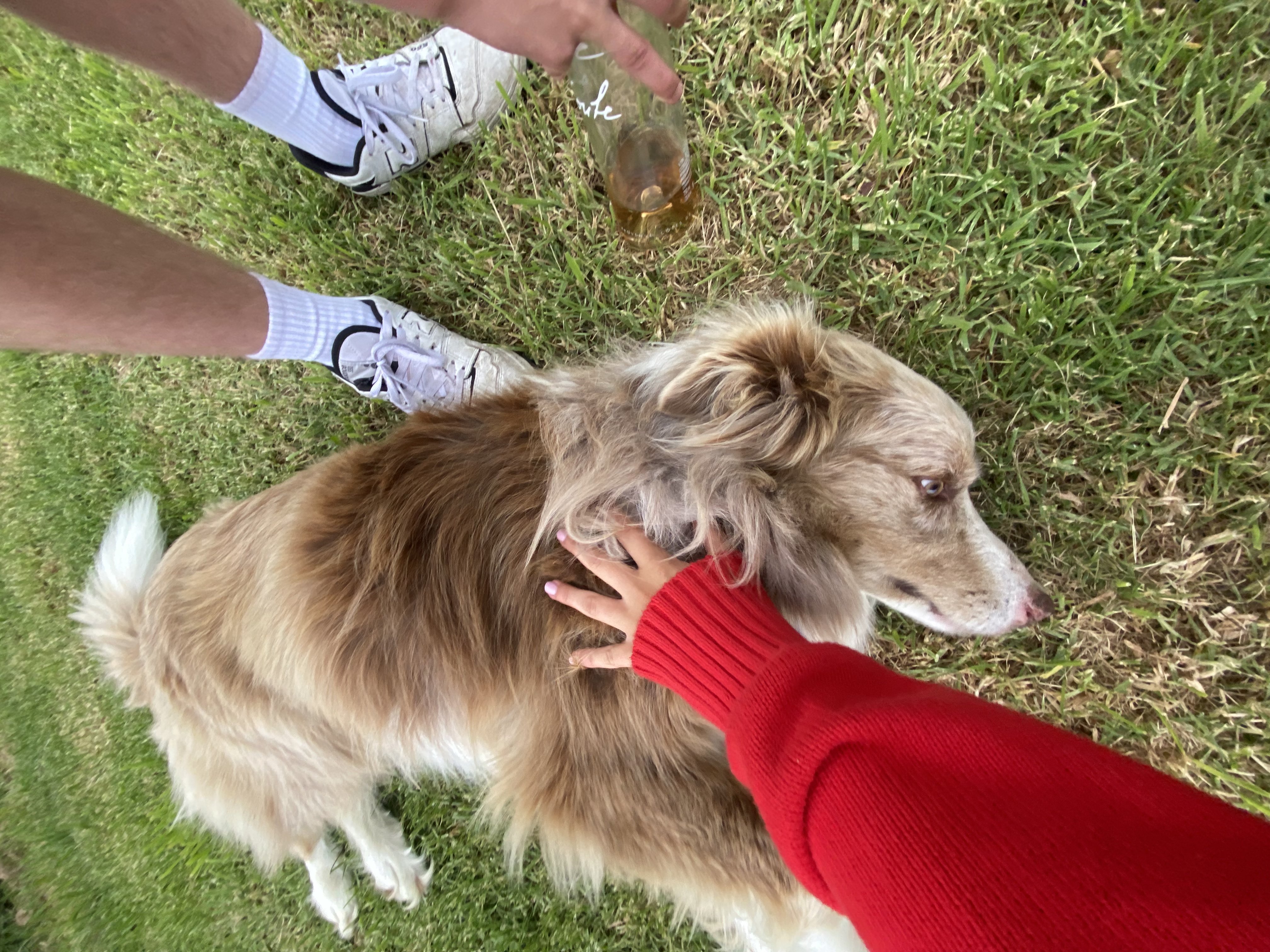 image-7