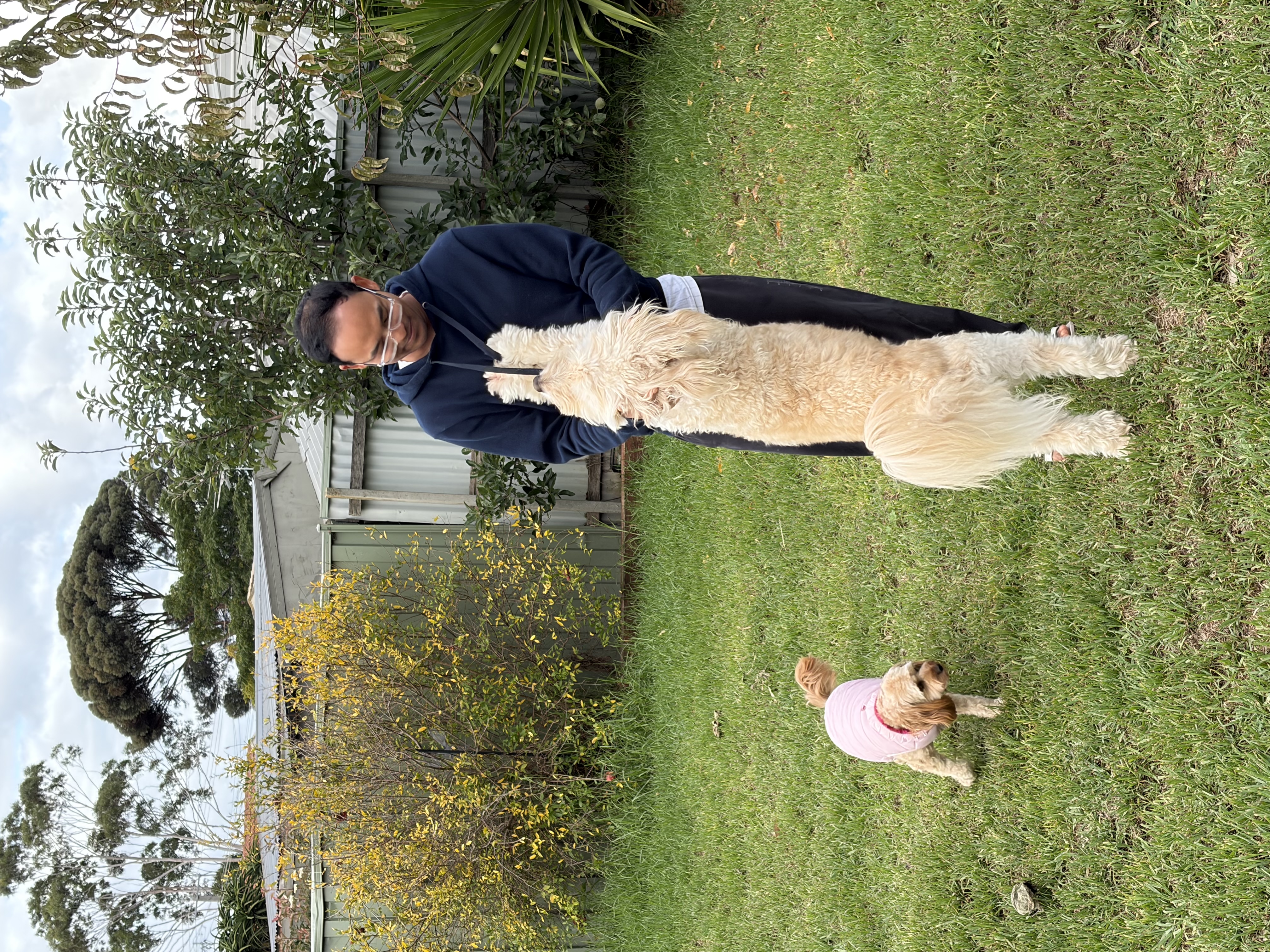 image-7