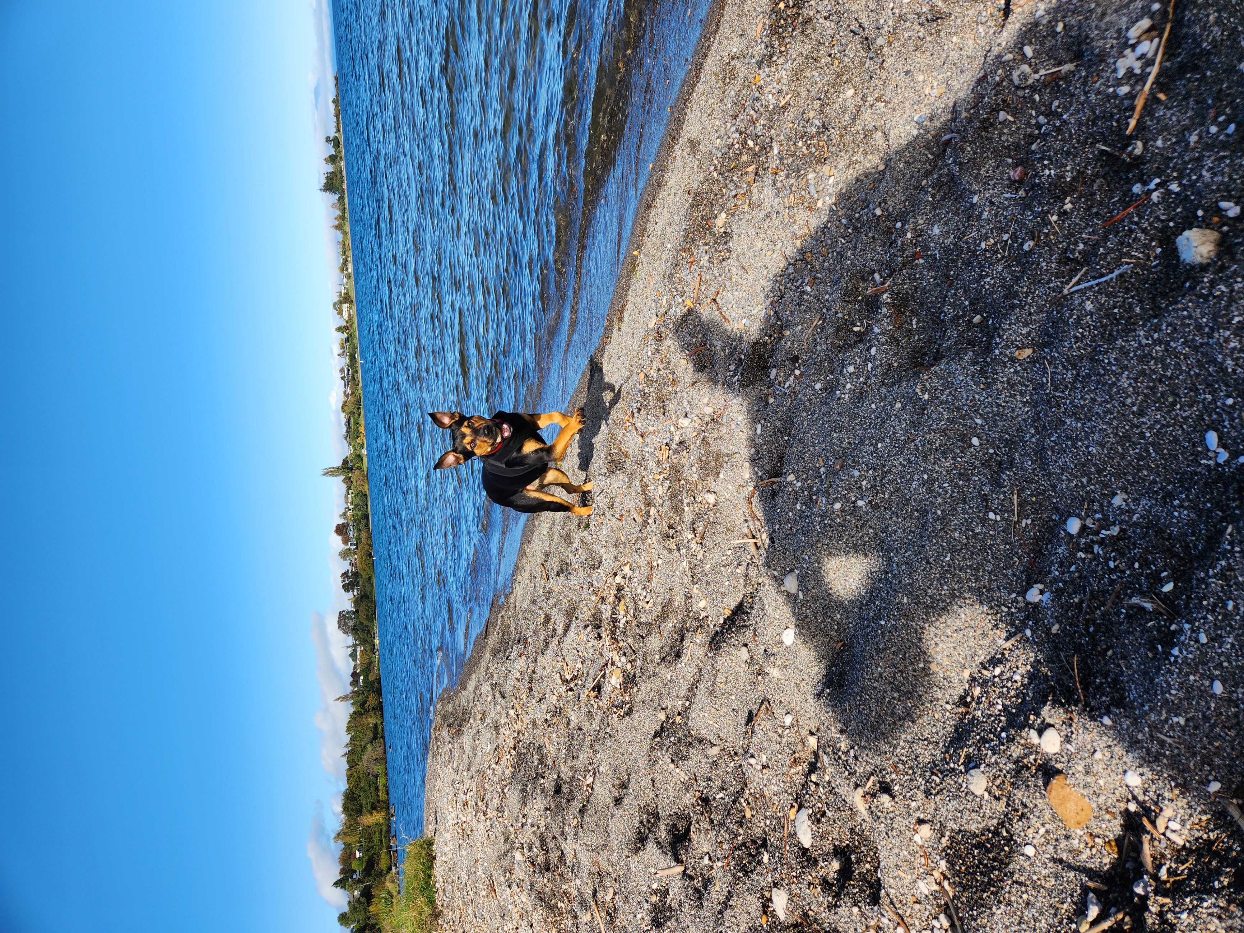 image-10