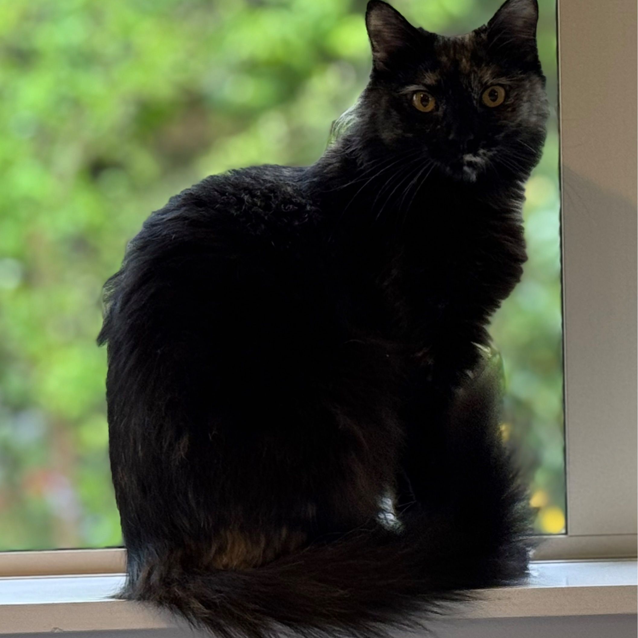 Lucy