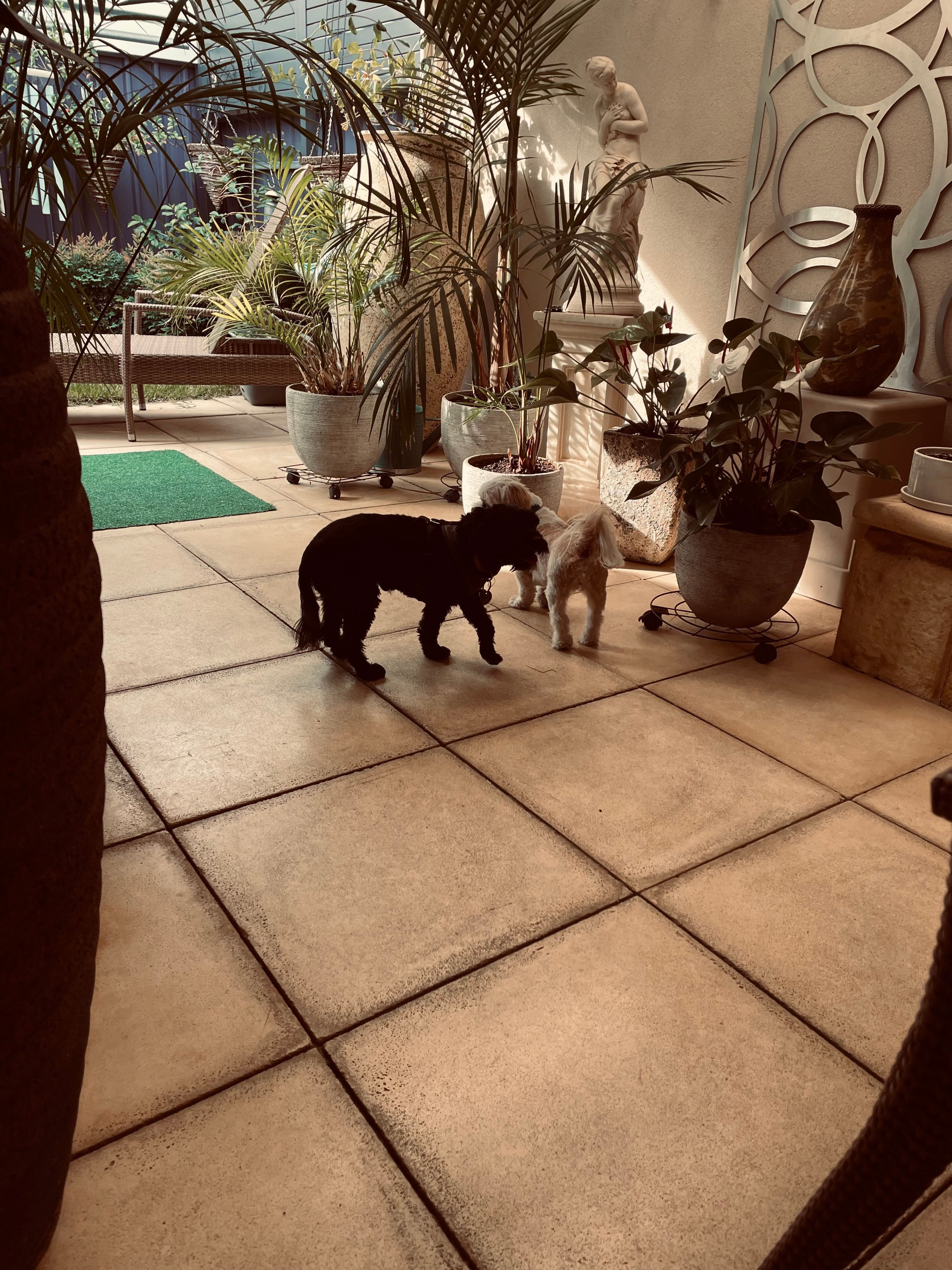 image-15