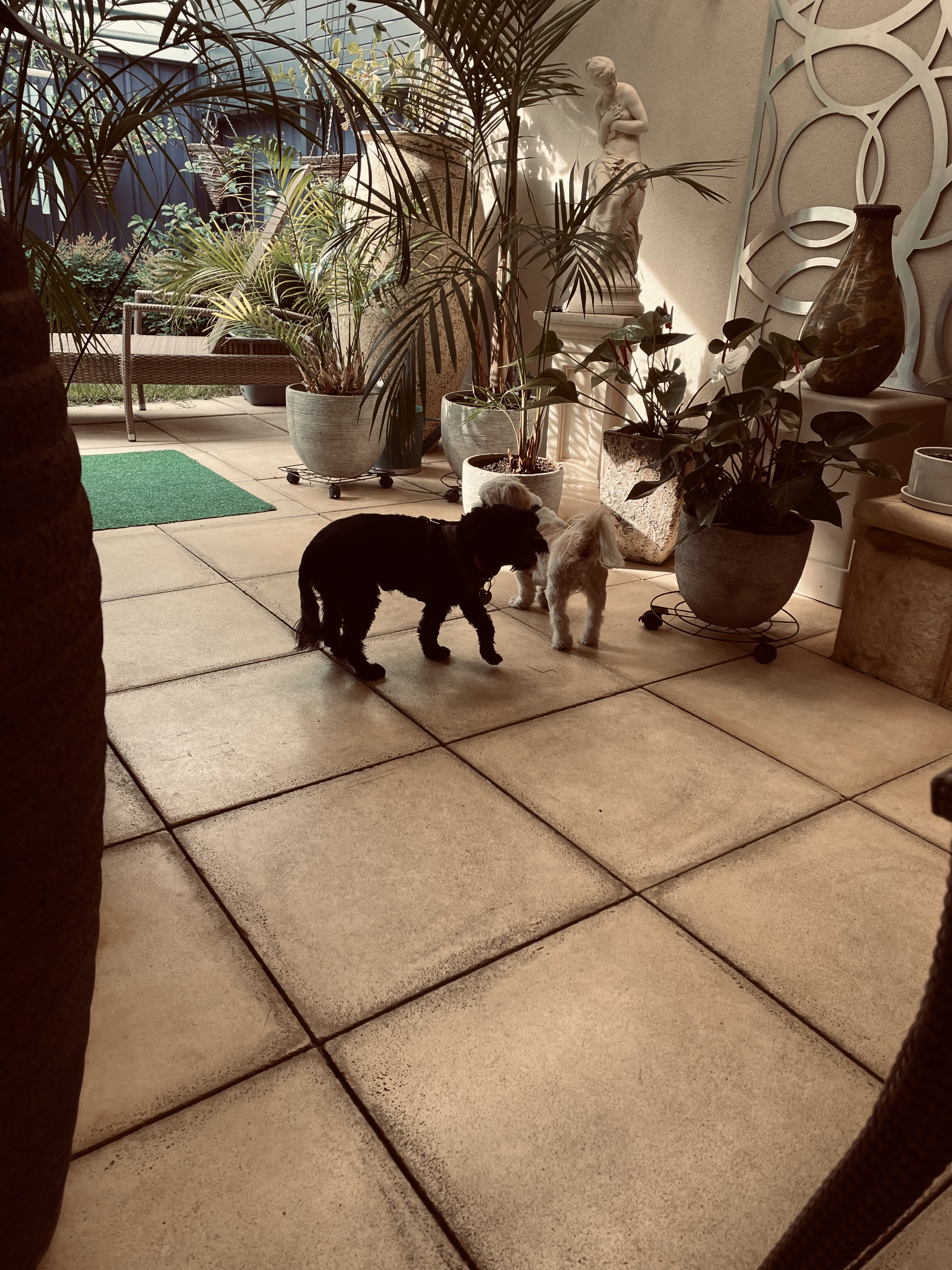 image-6