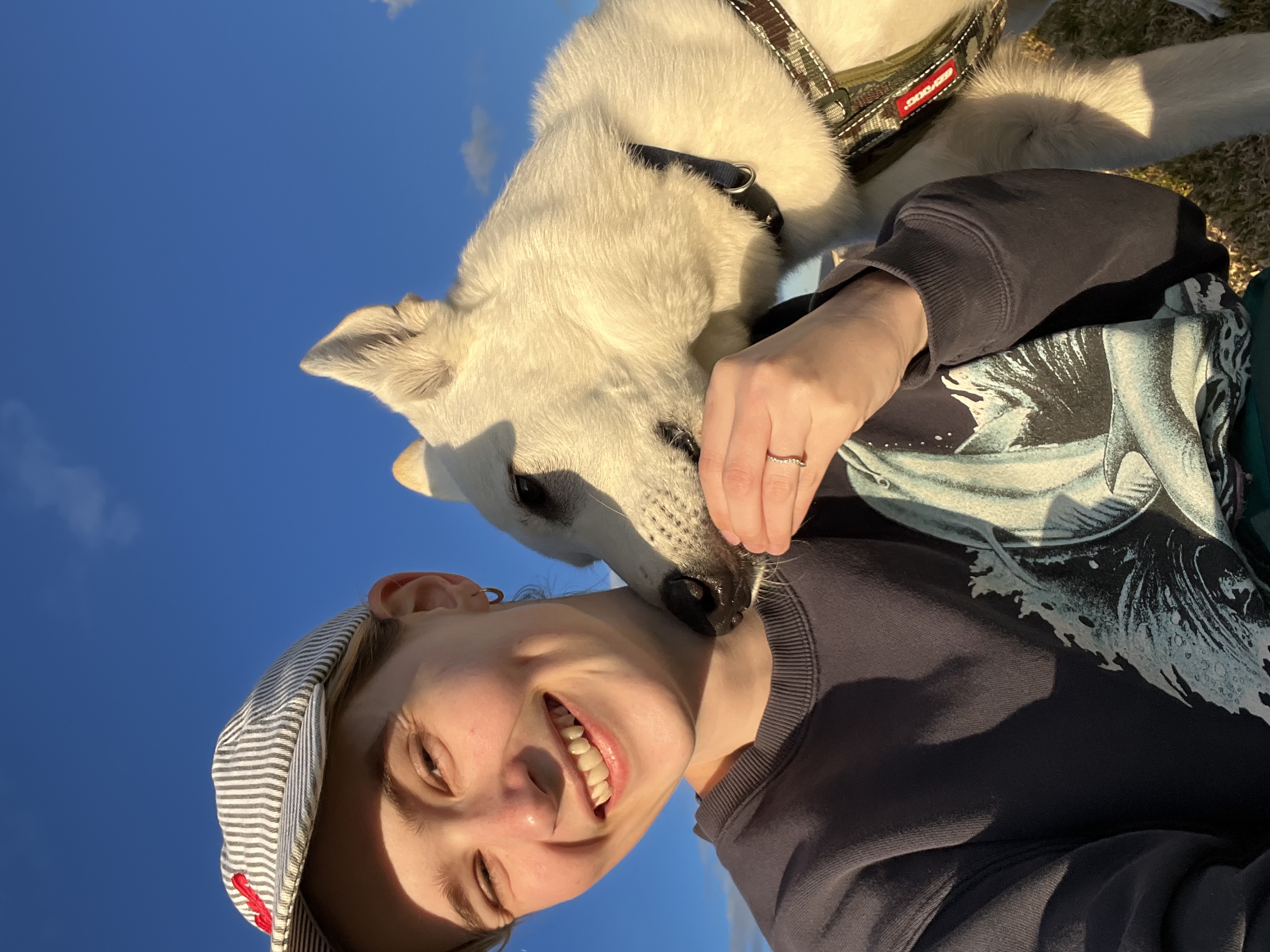 image-8