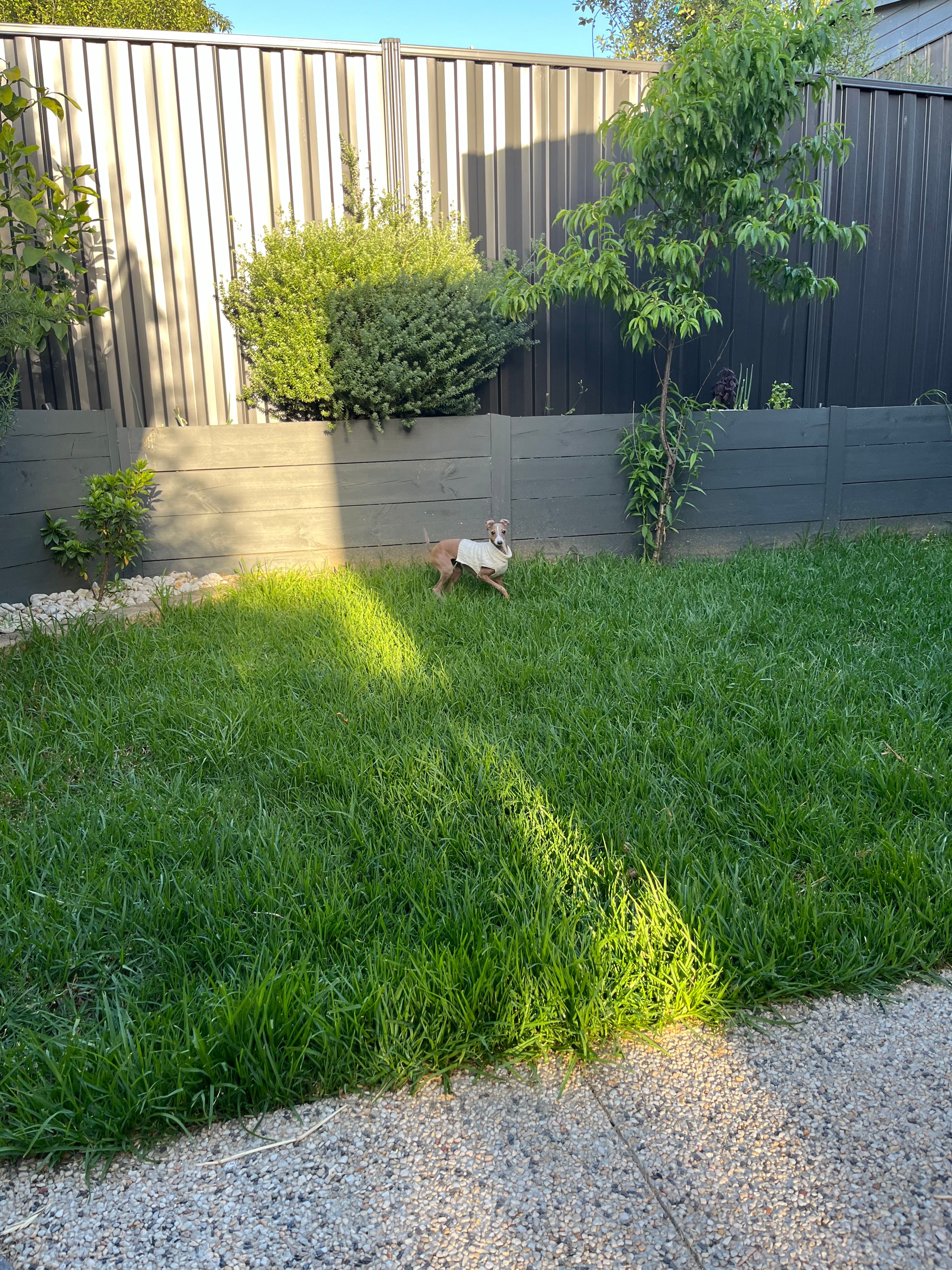 image-12