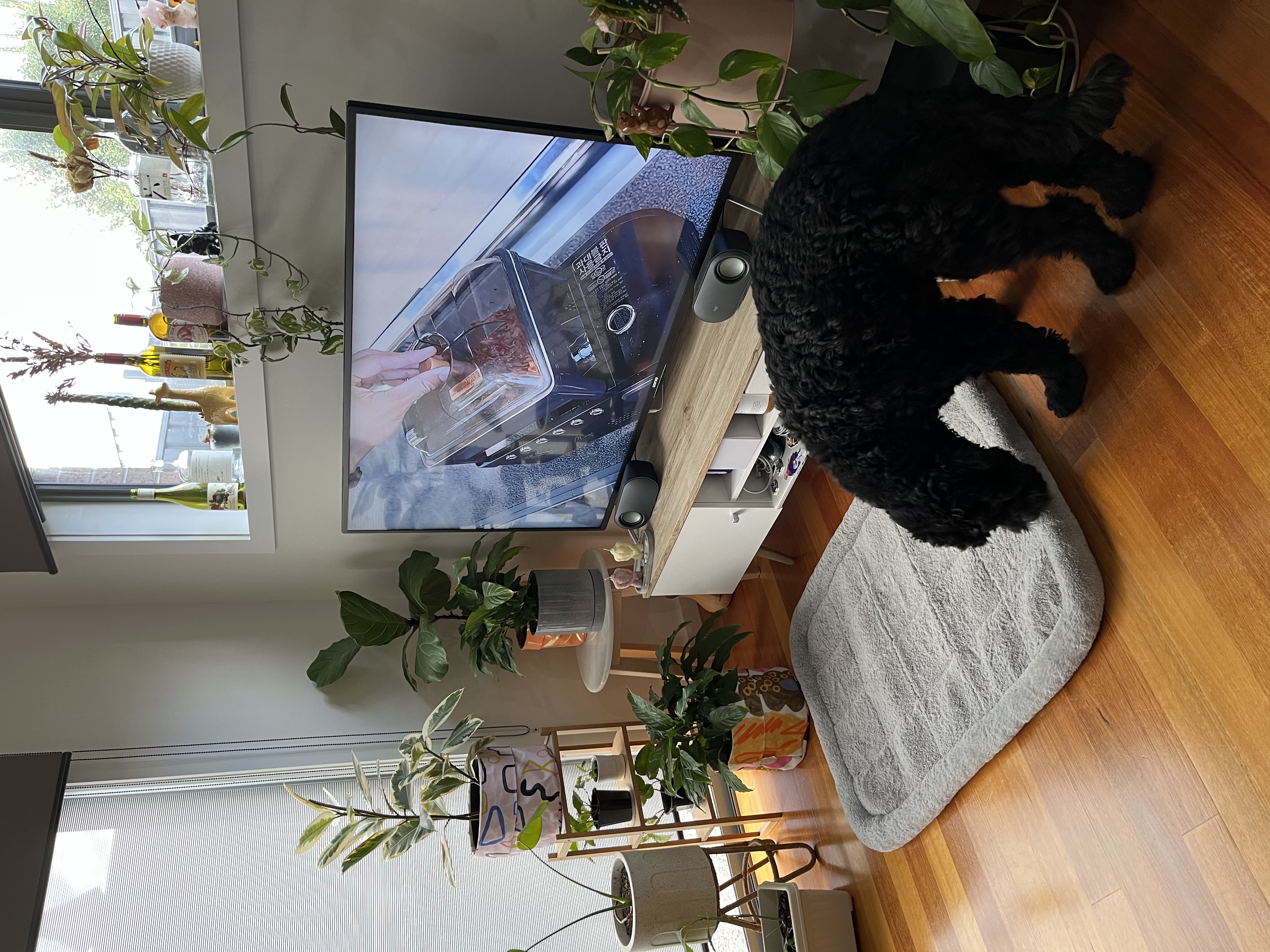 image-13