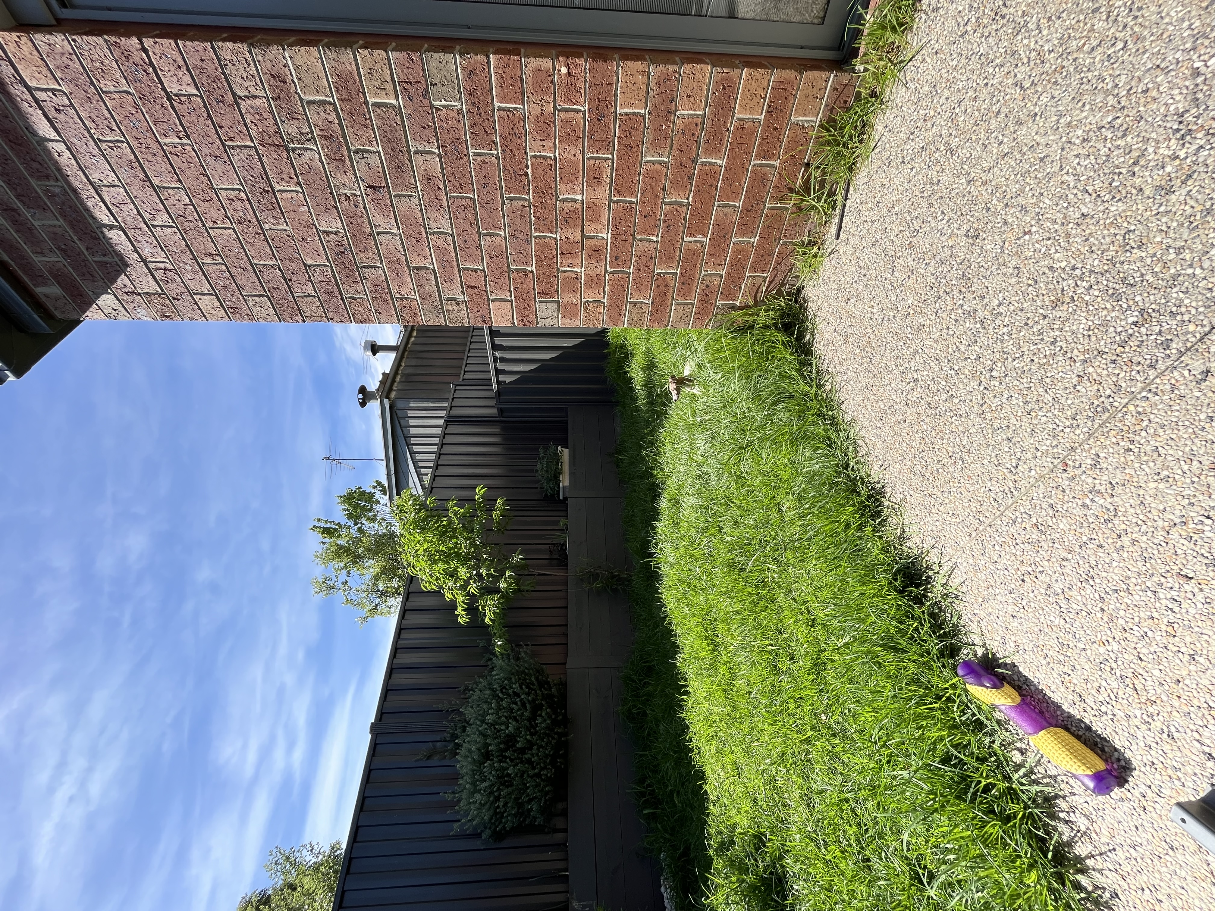 image-14