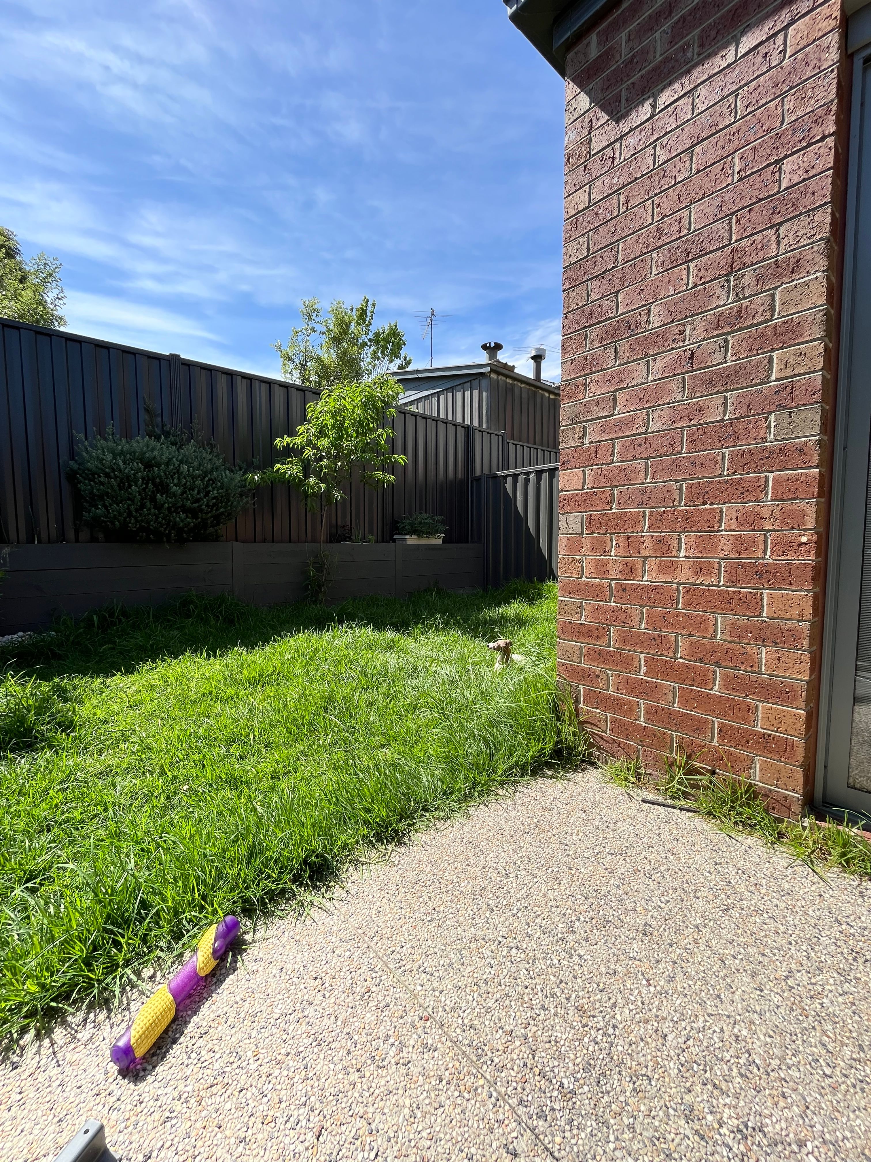 image-14