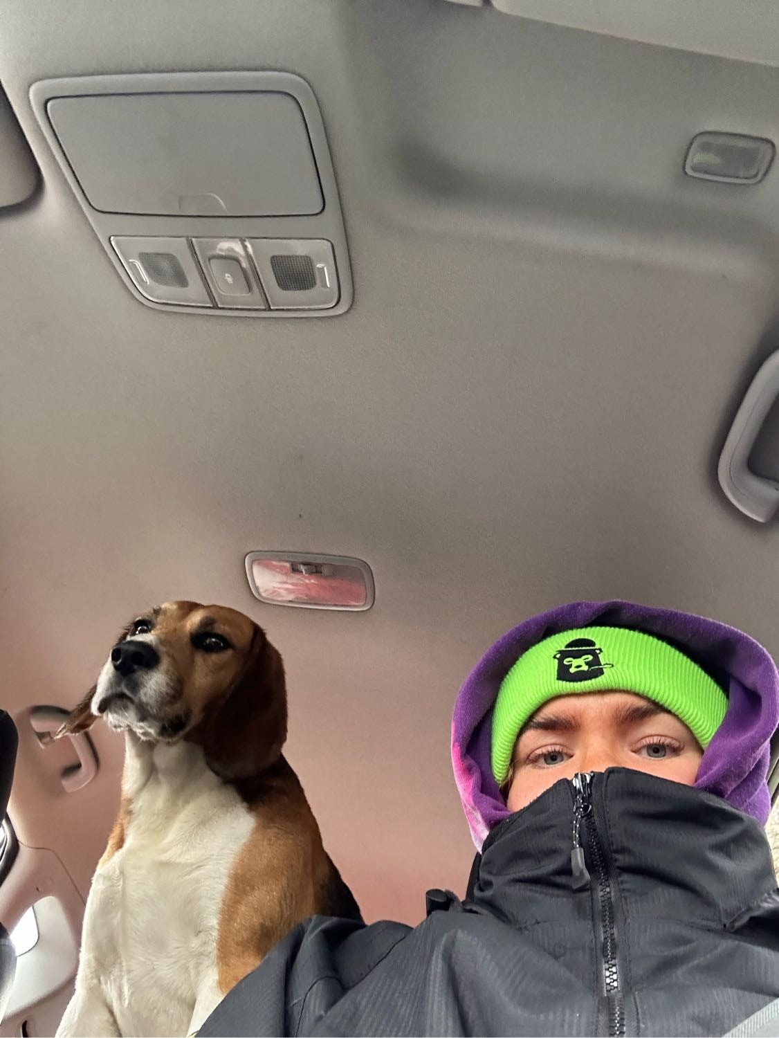image-8
