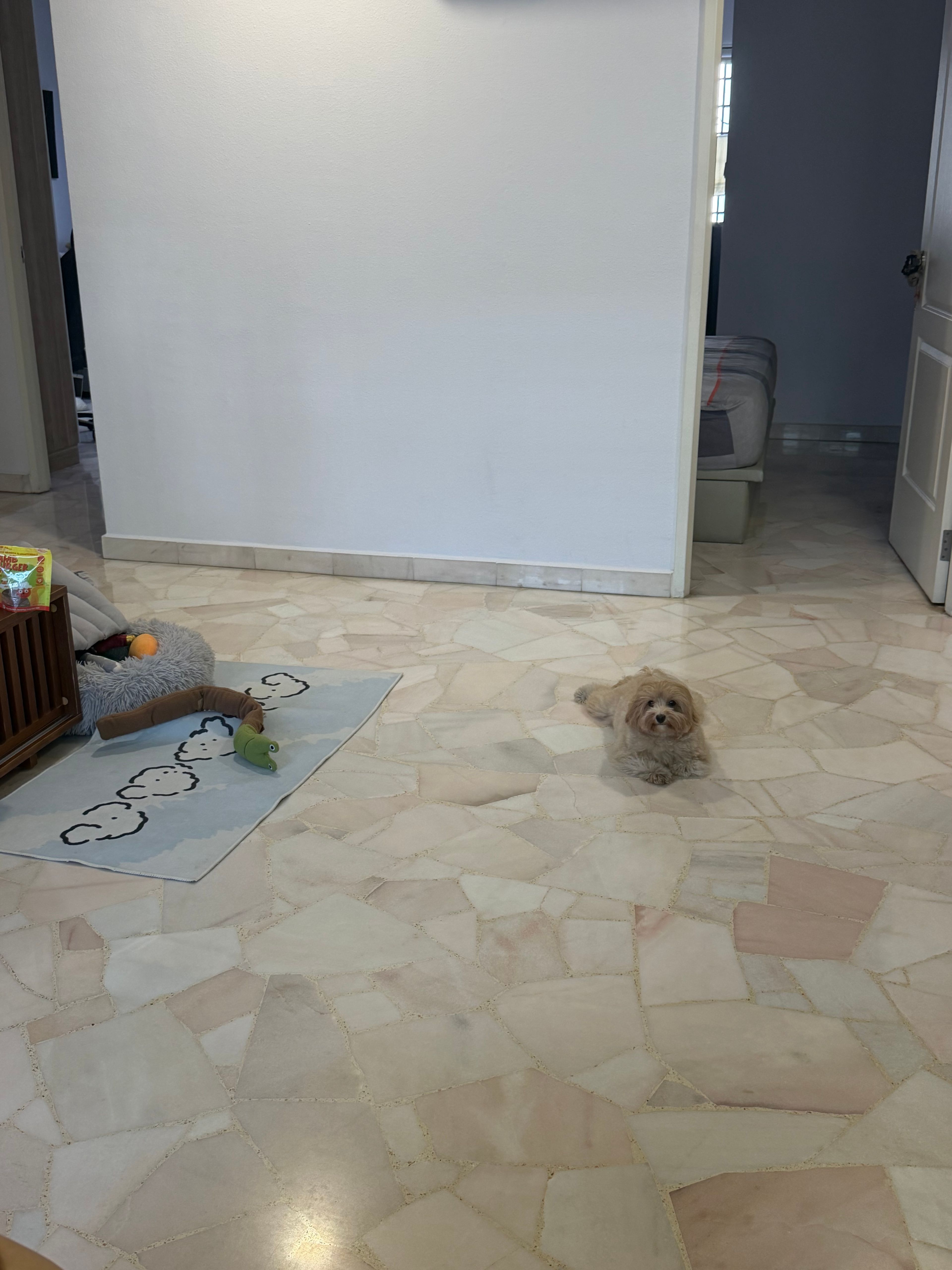 image-21