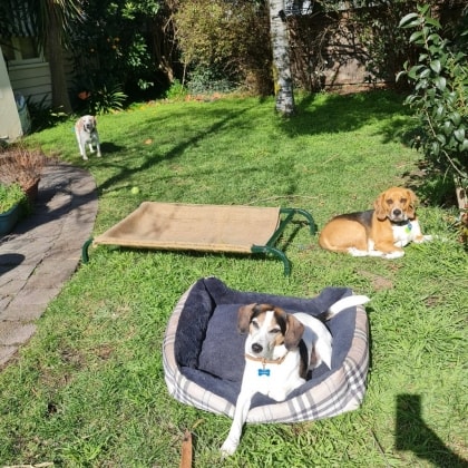 image-9