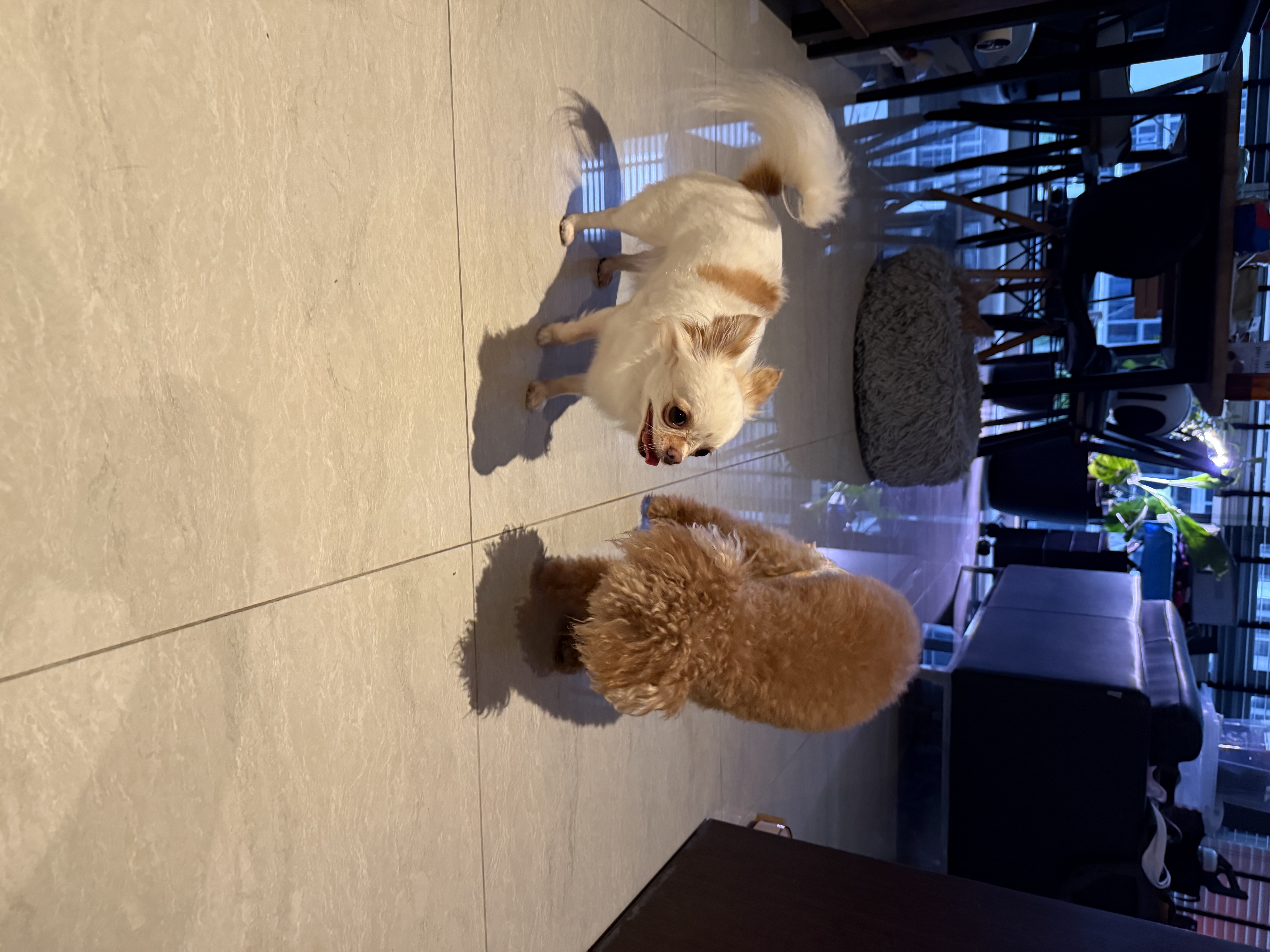 image-41