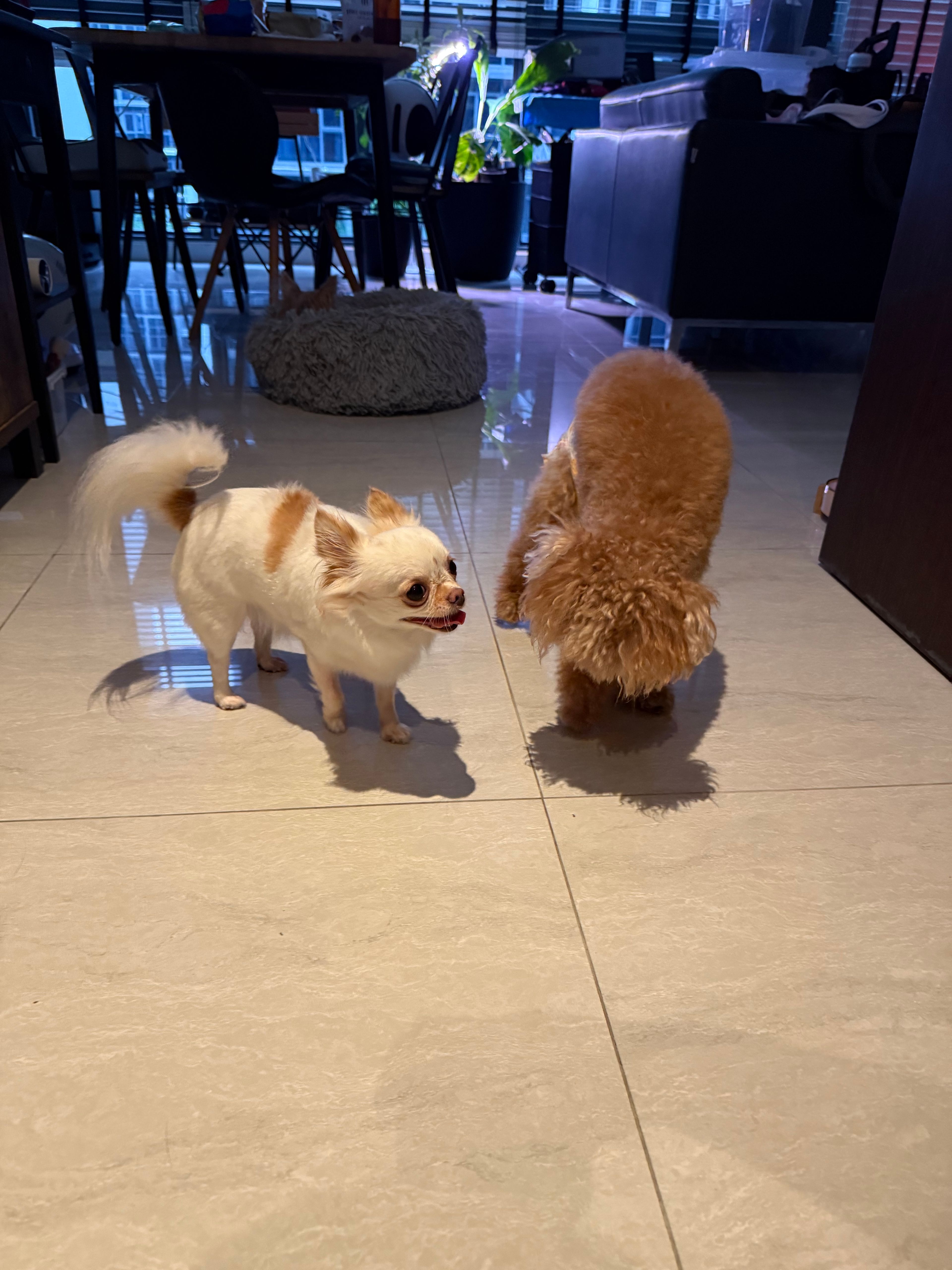 image-41
