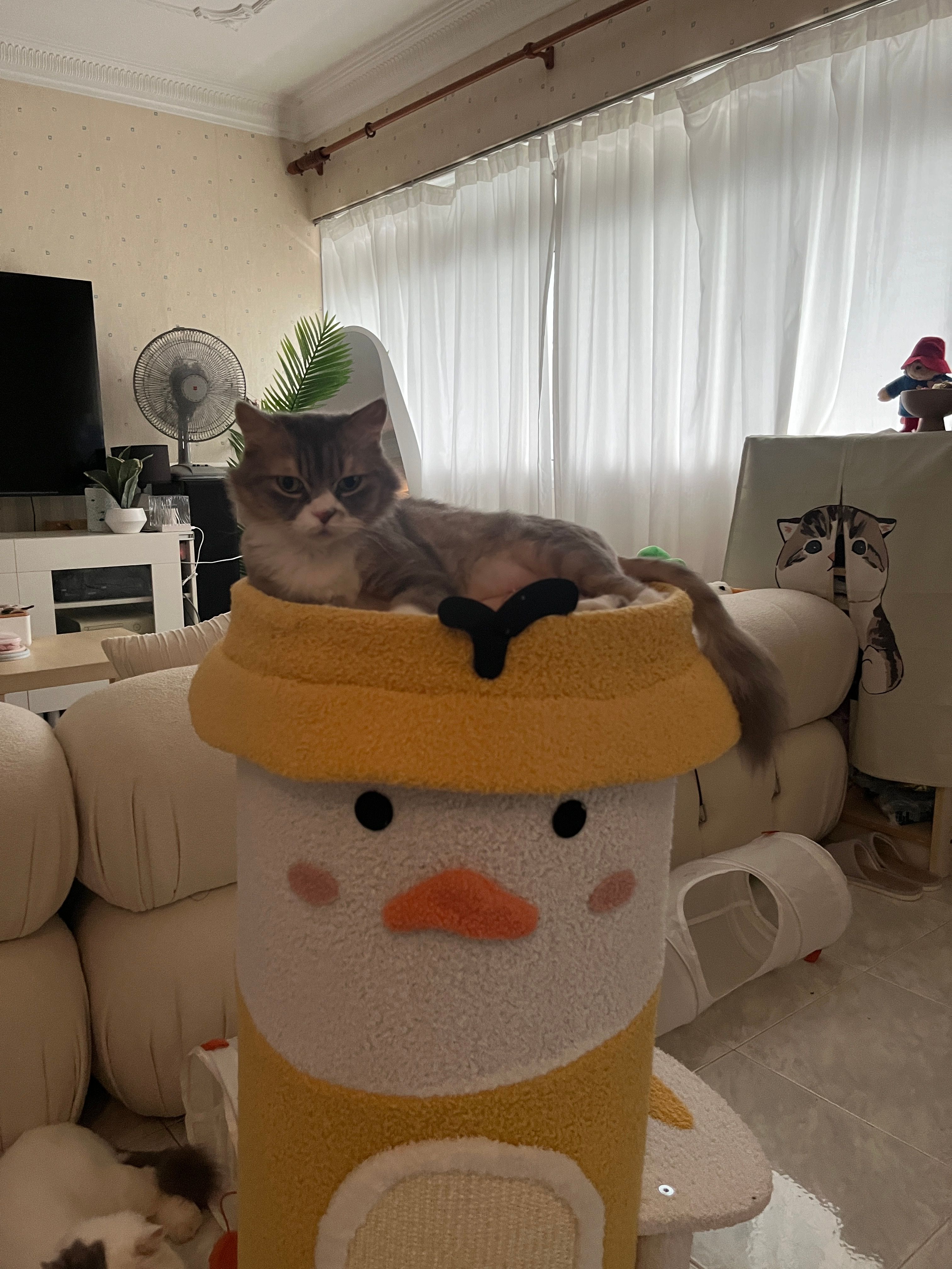 image-13