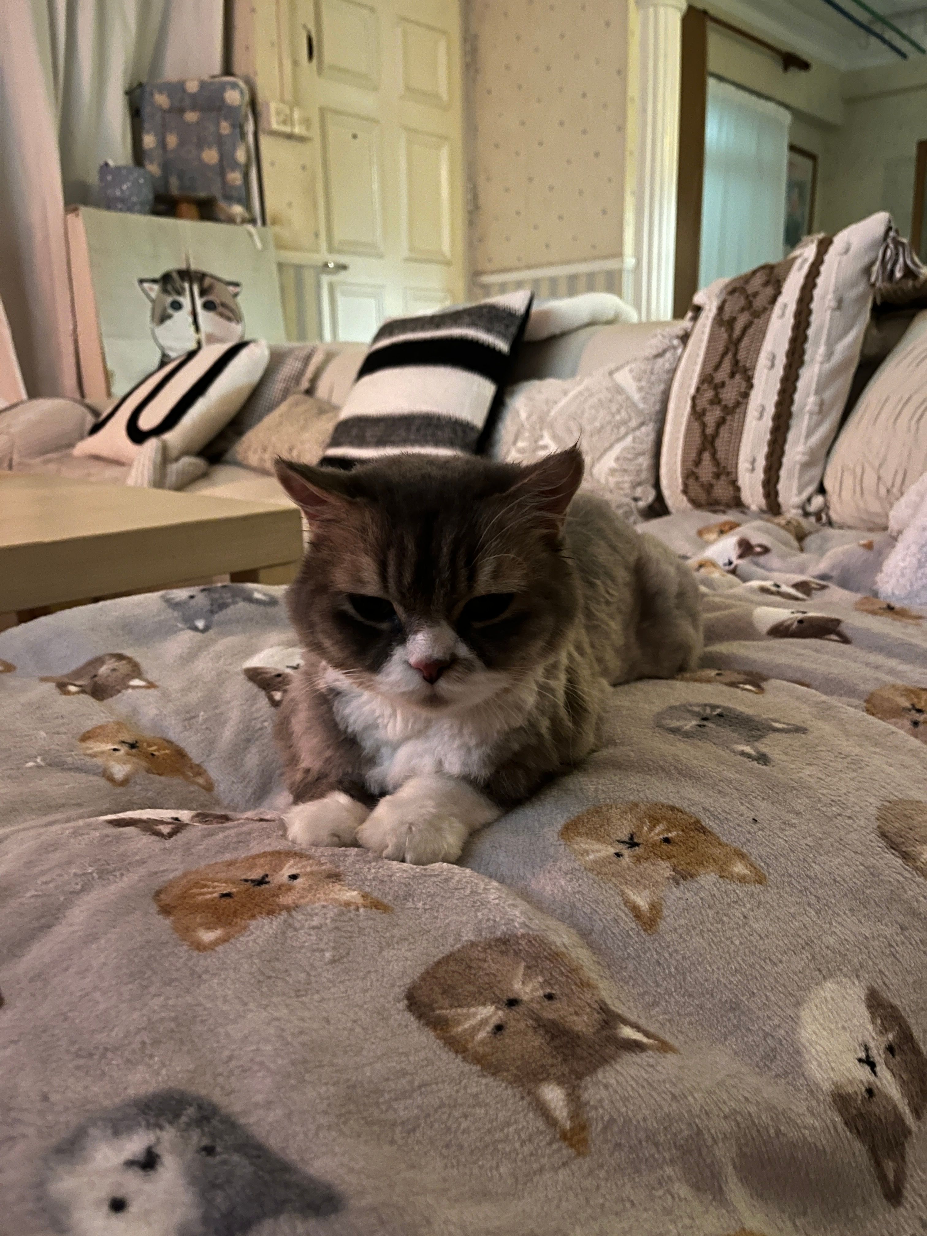 image-18