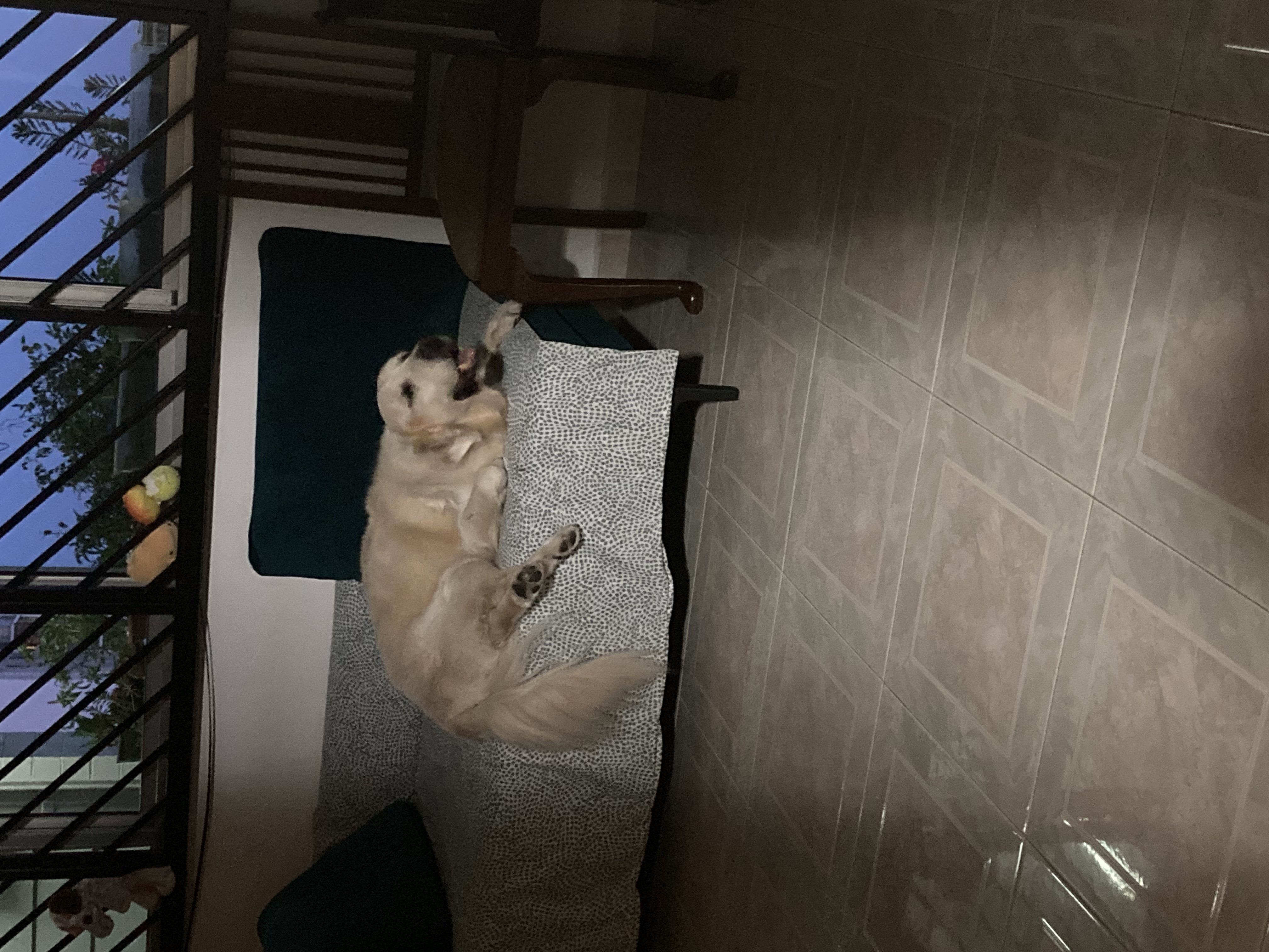 image-16