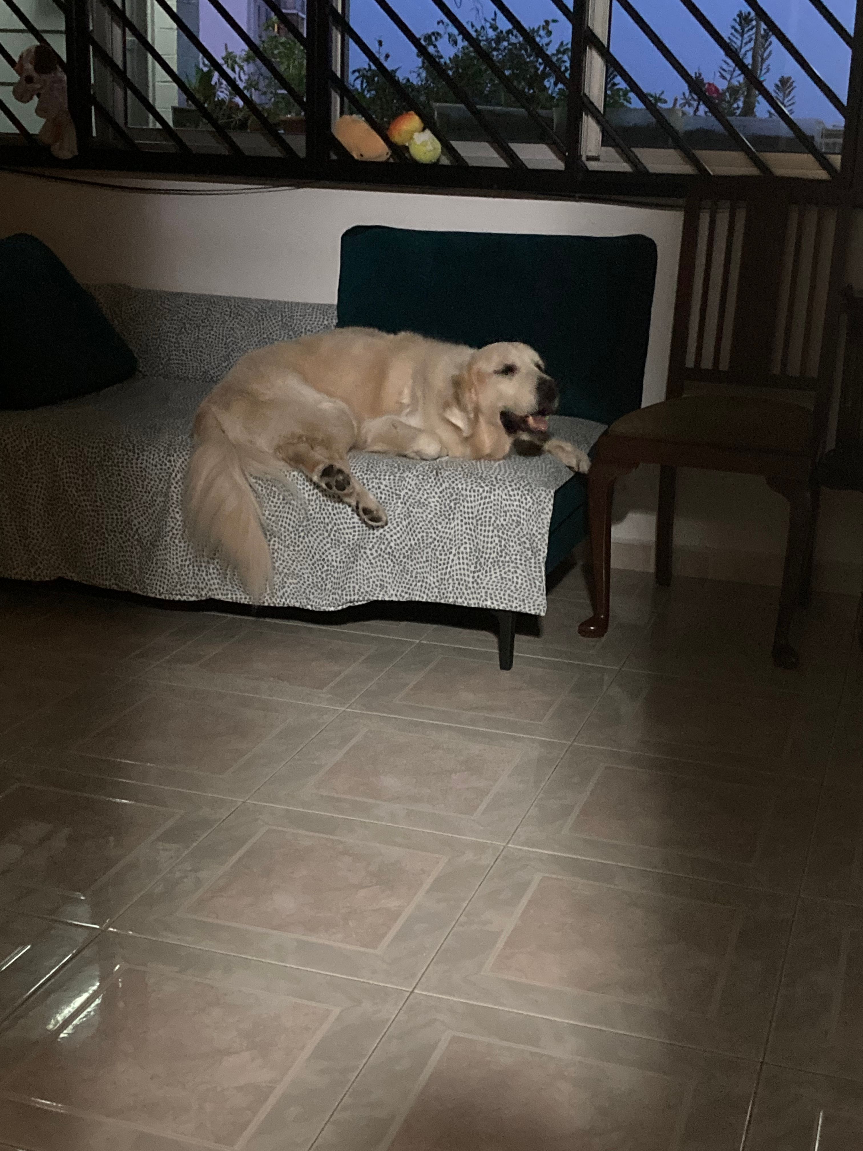 image-16