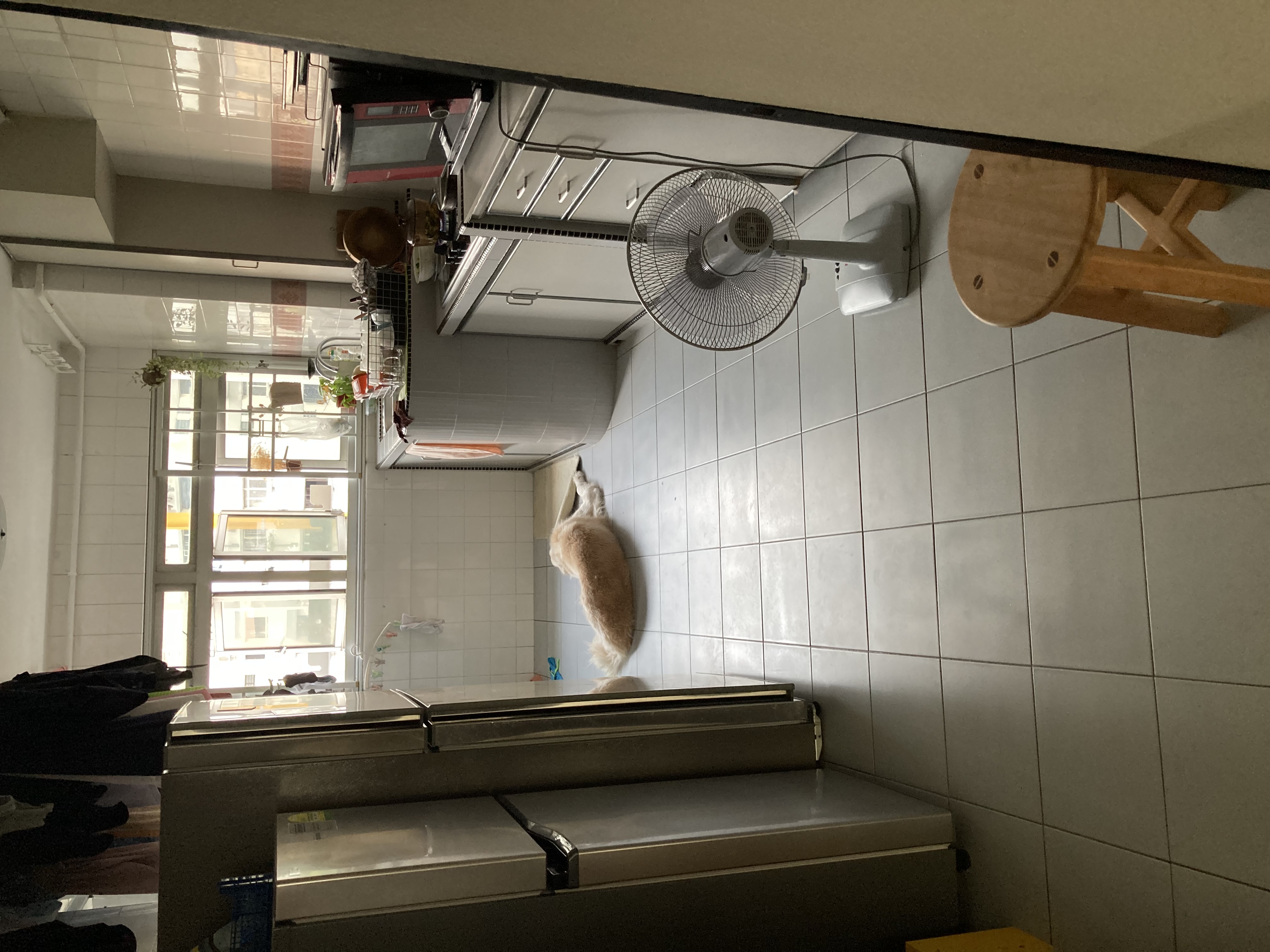 image-13