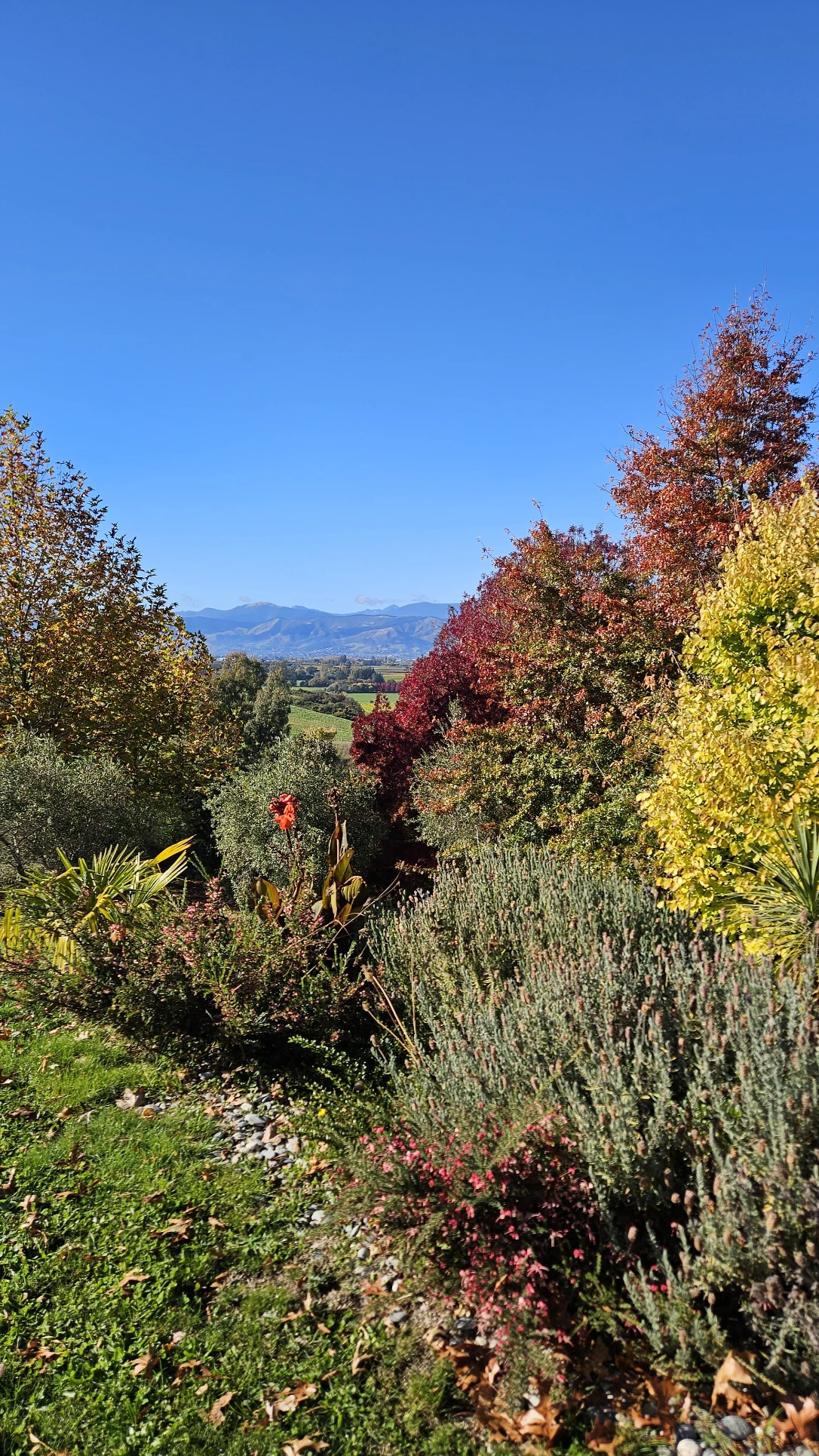 image-44