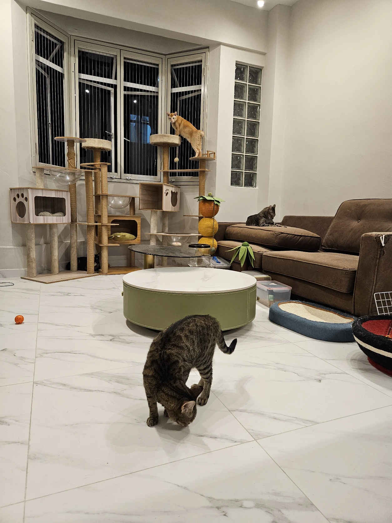 image-14