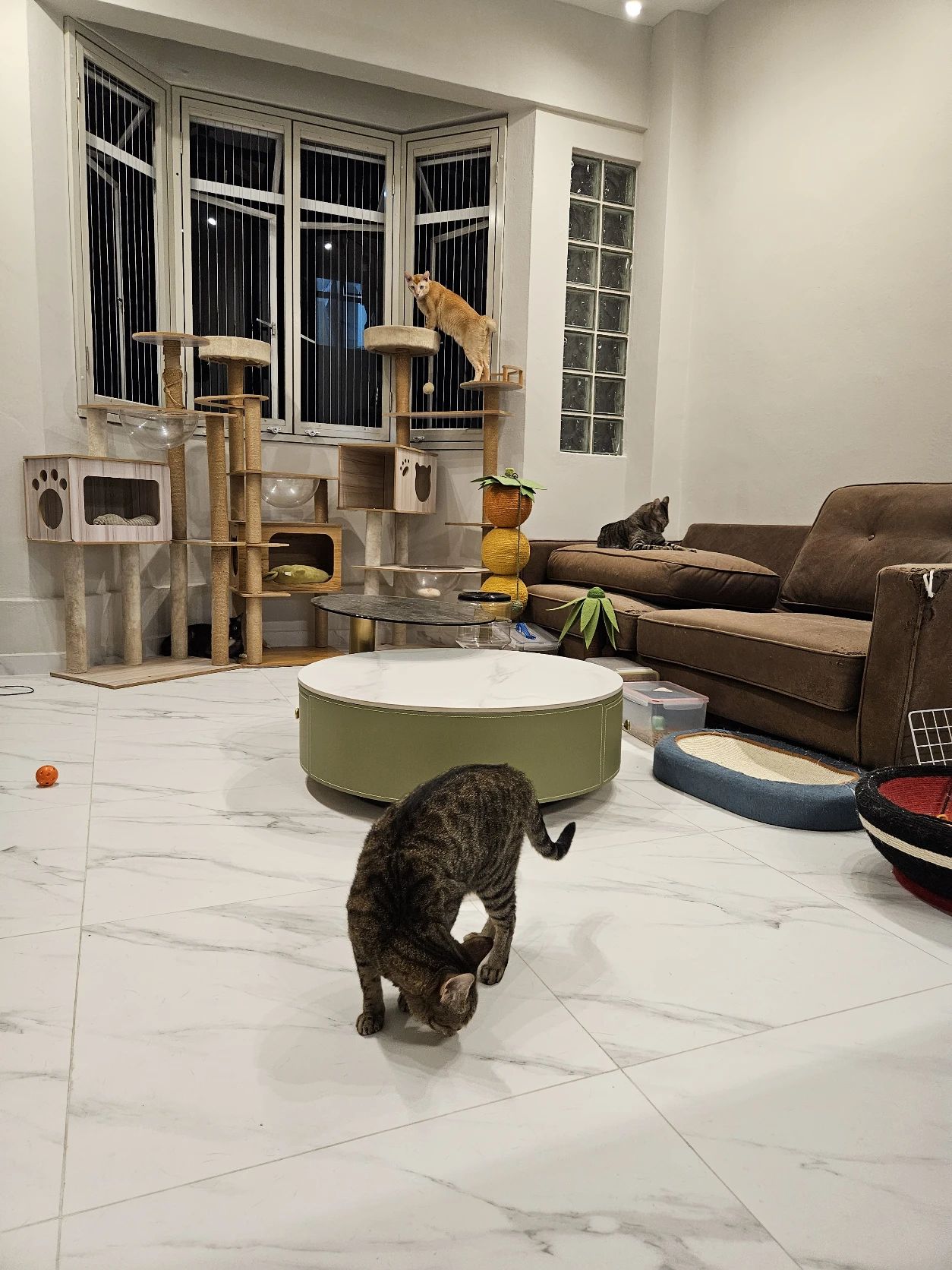 image-14