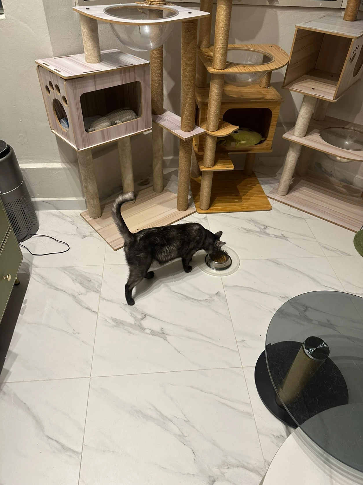 image-13