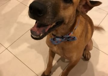 Caramel