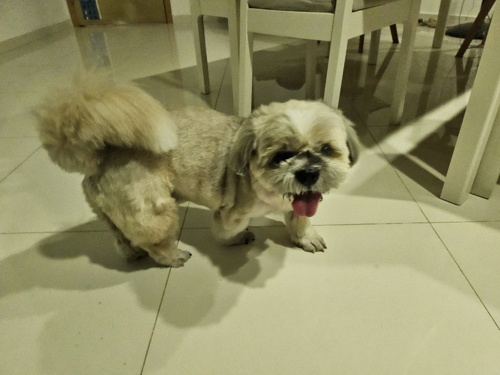 image-14
