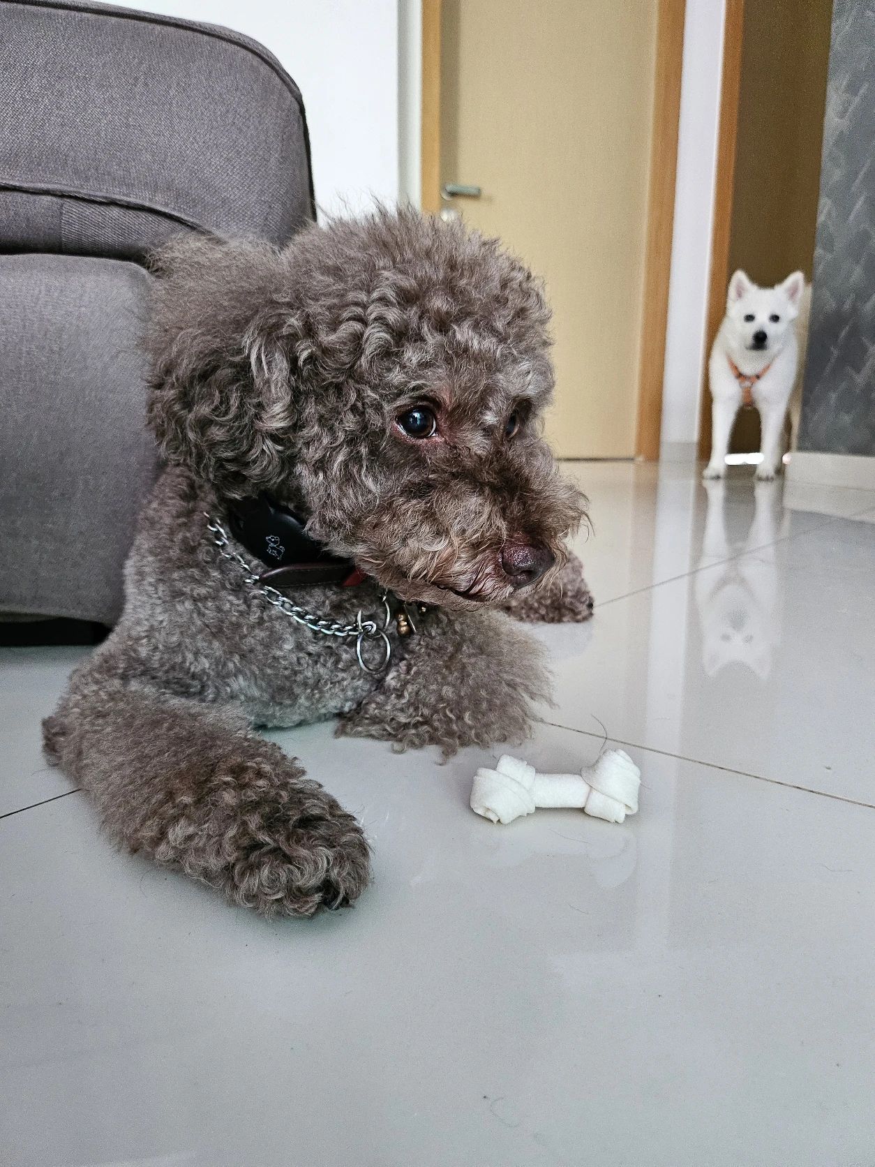 image-18