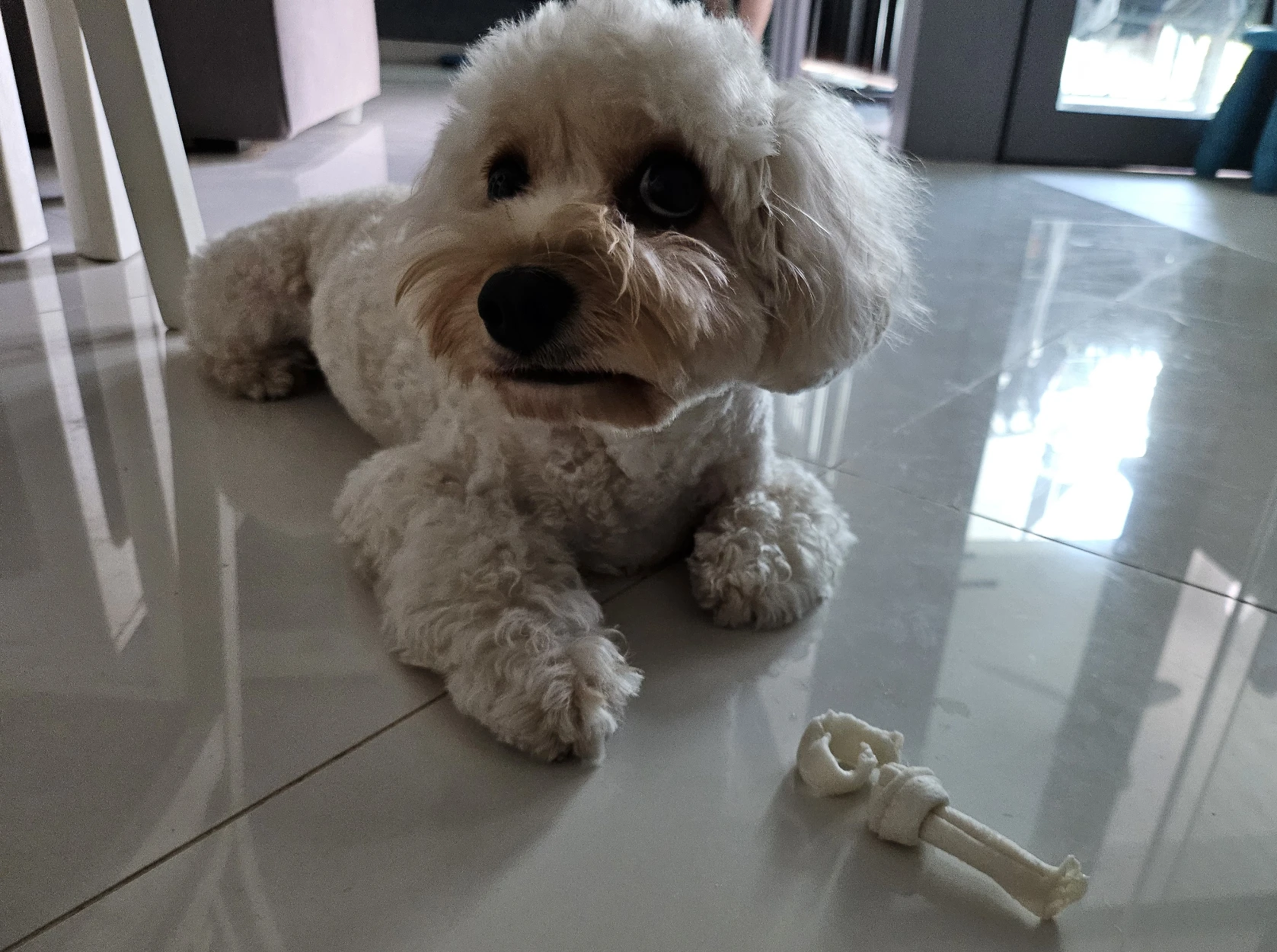 image-26