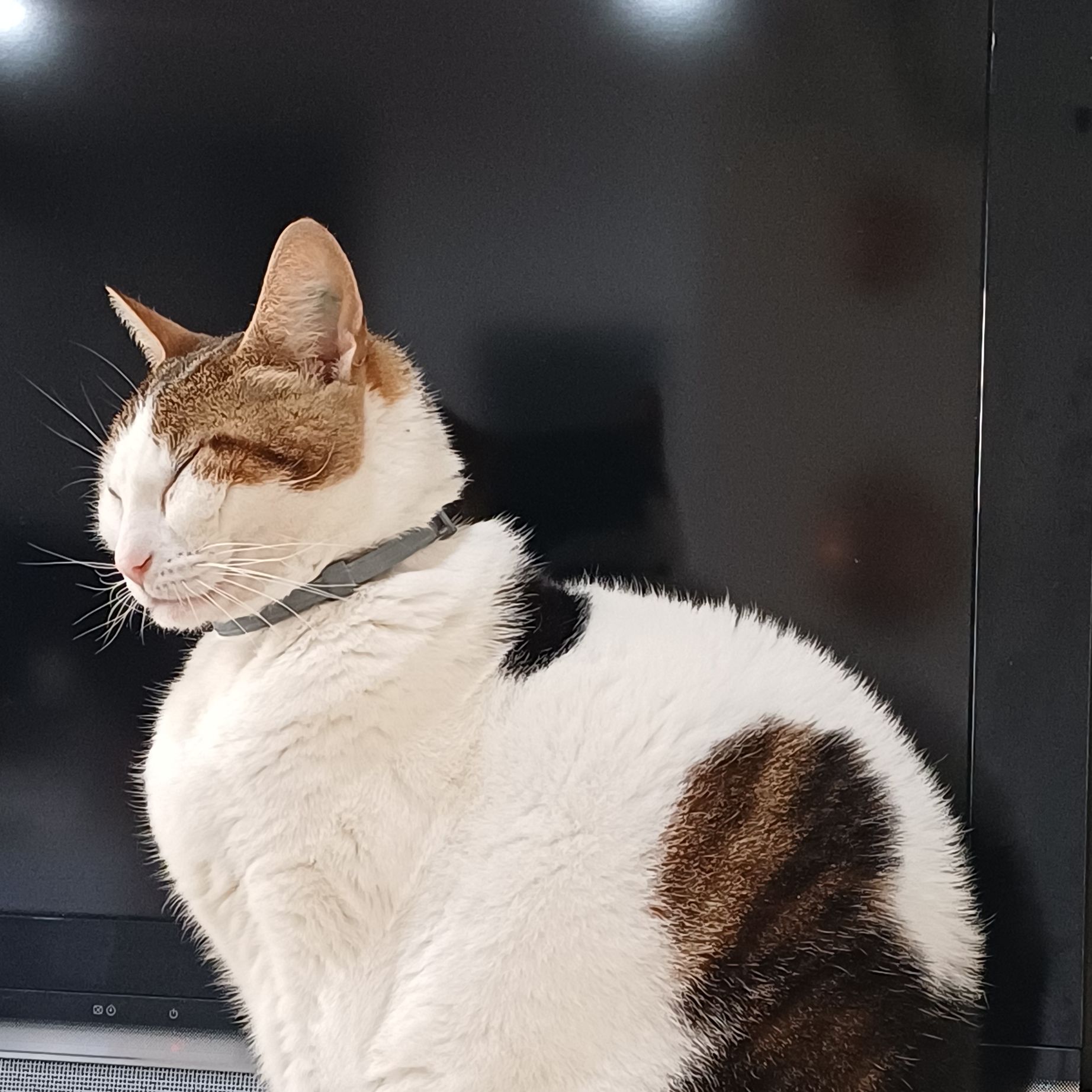 Nina