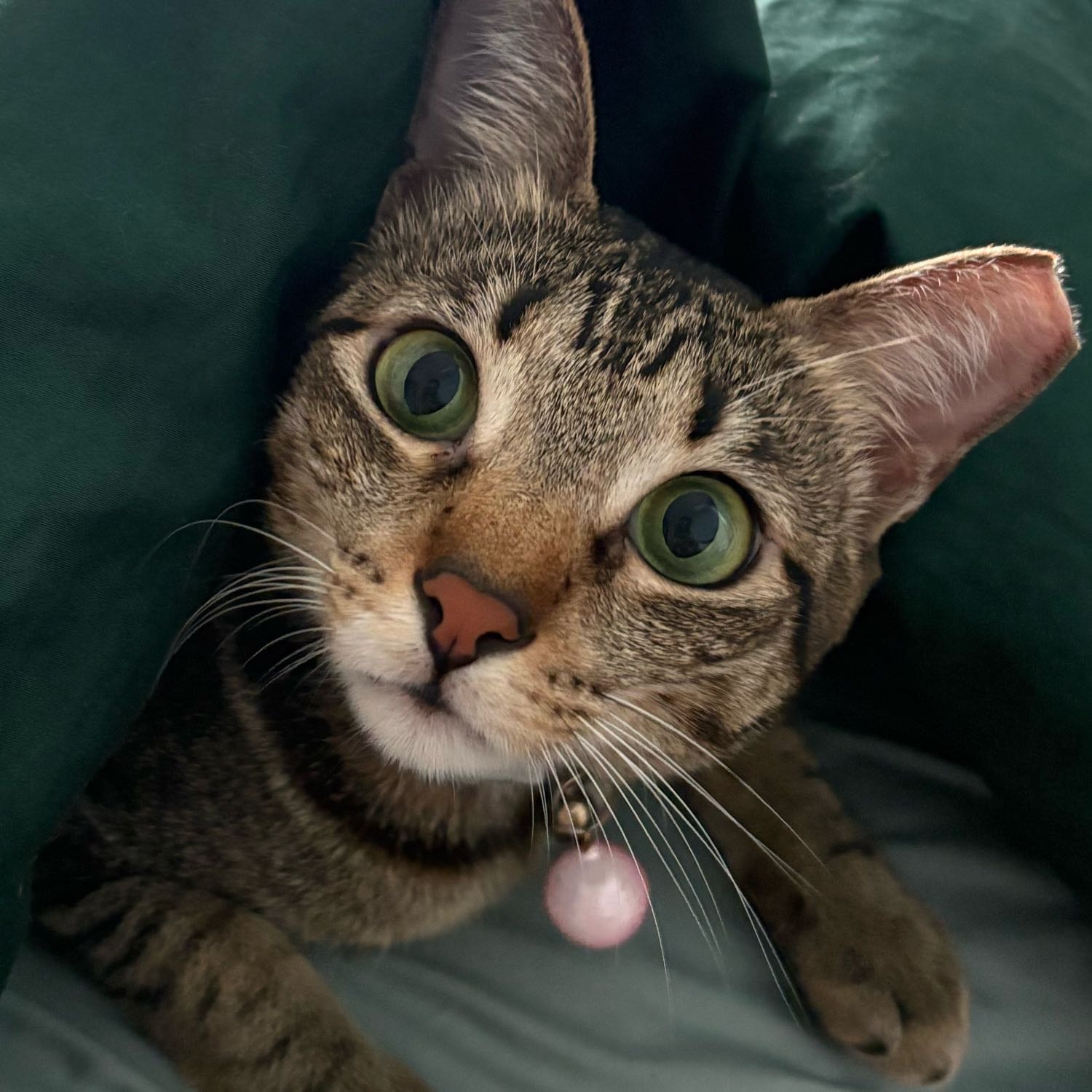 Sophie