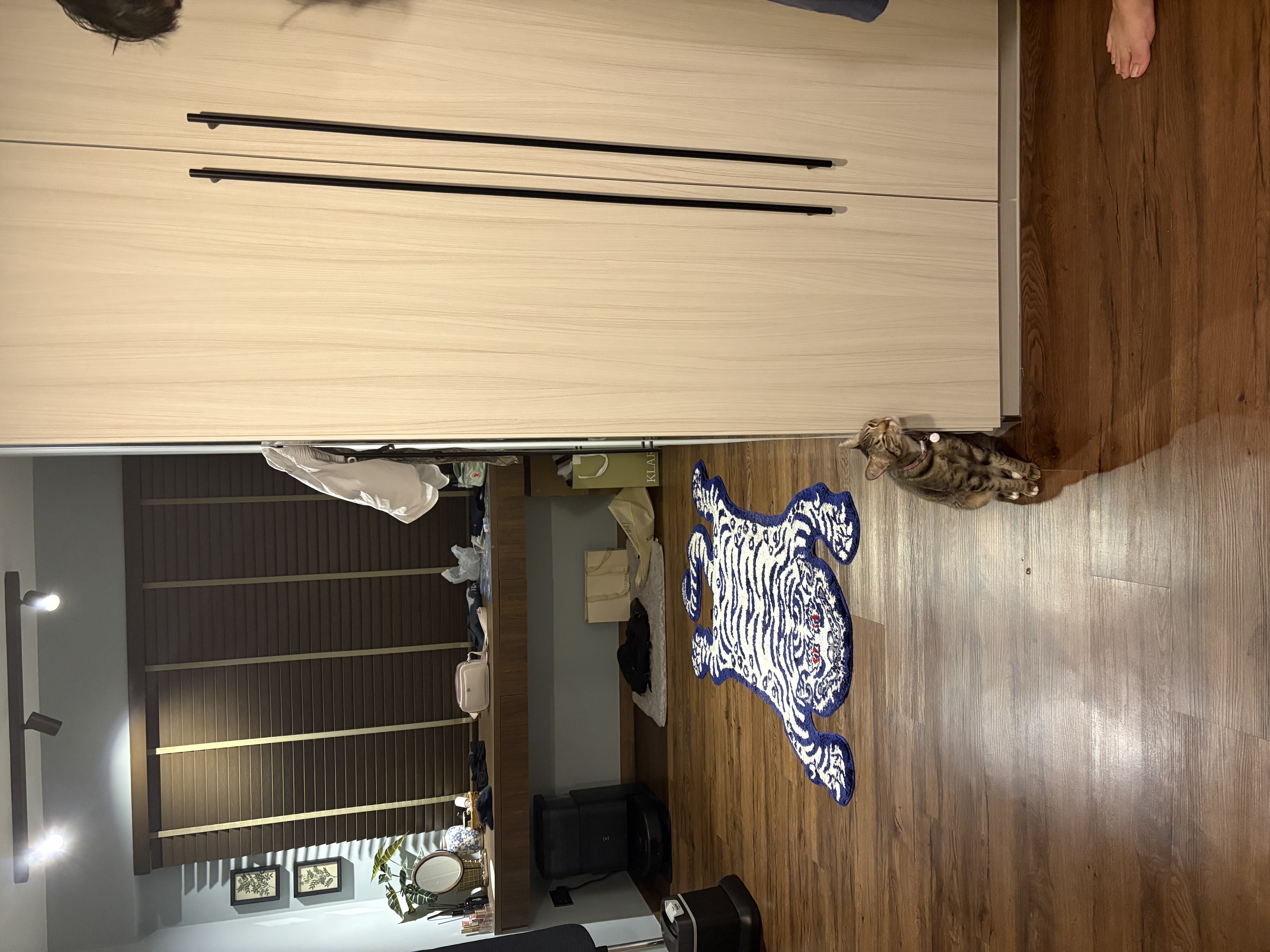 image-12