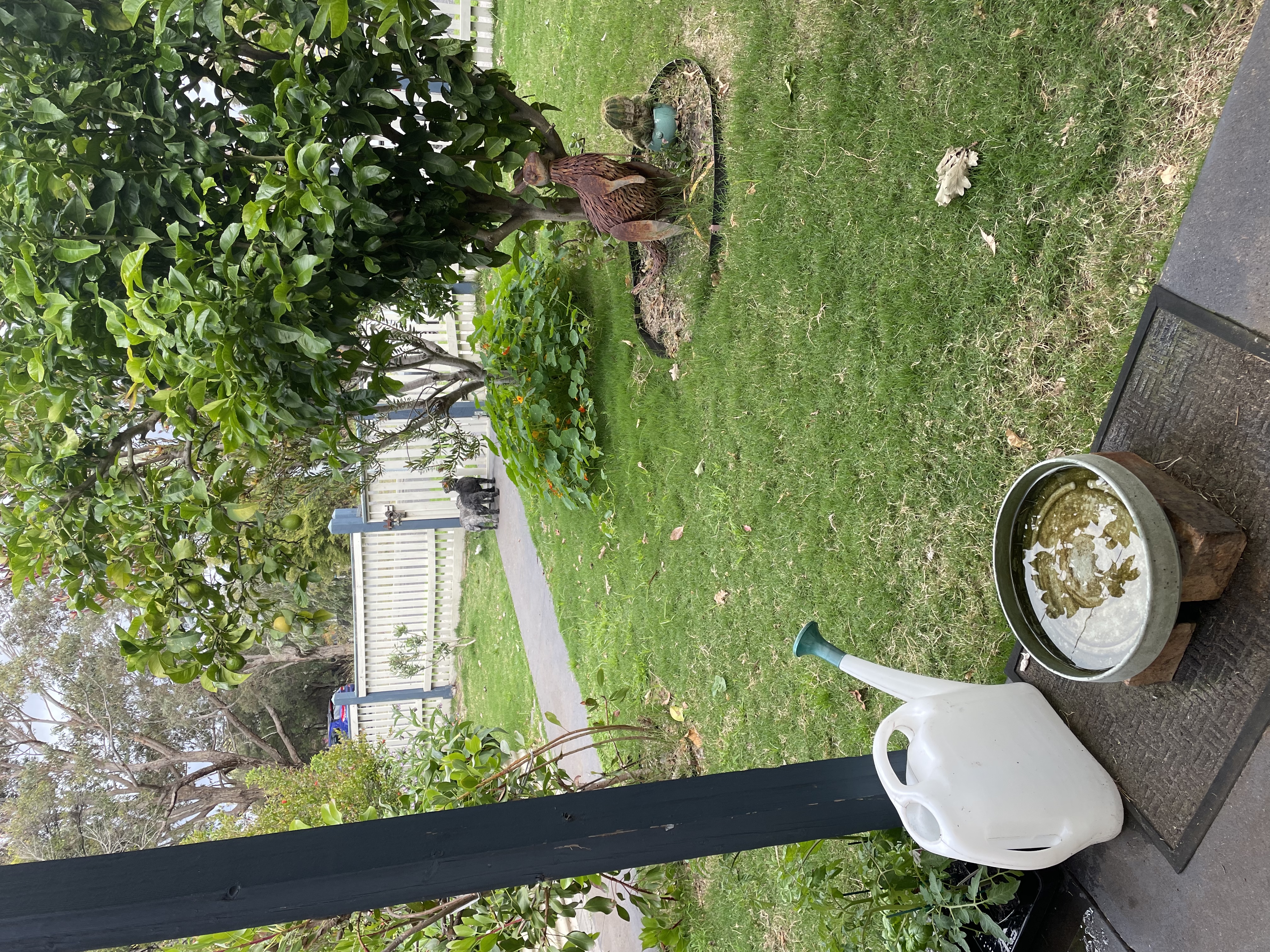 image-17