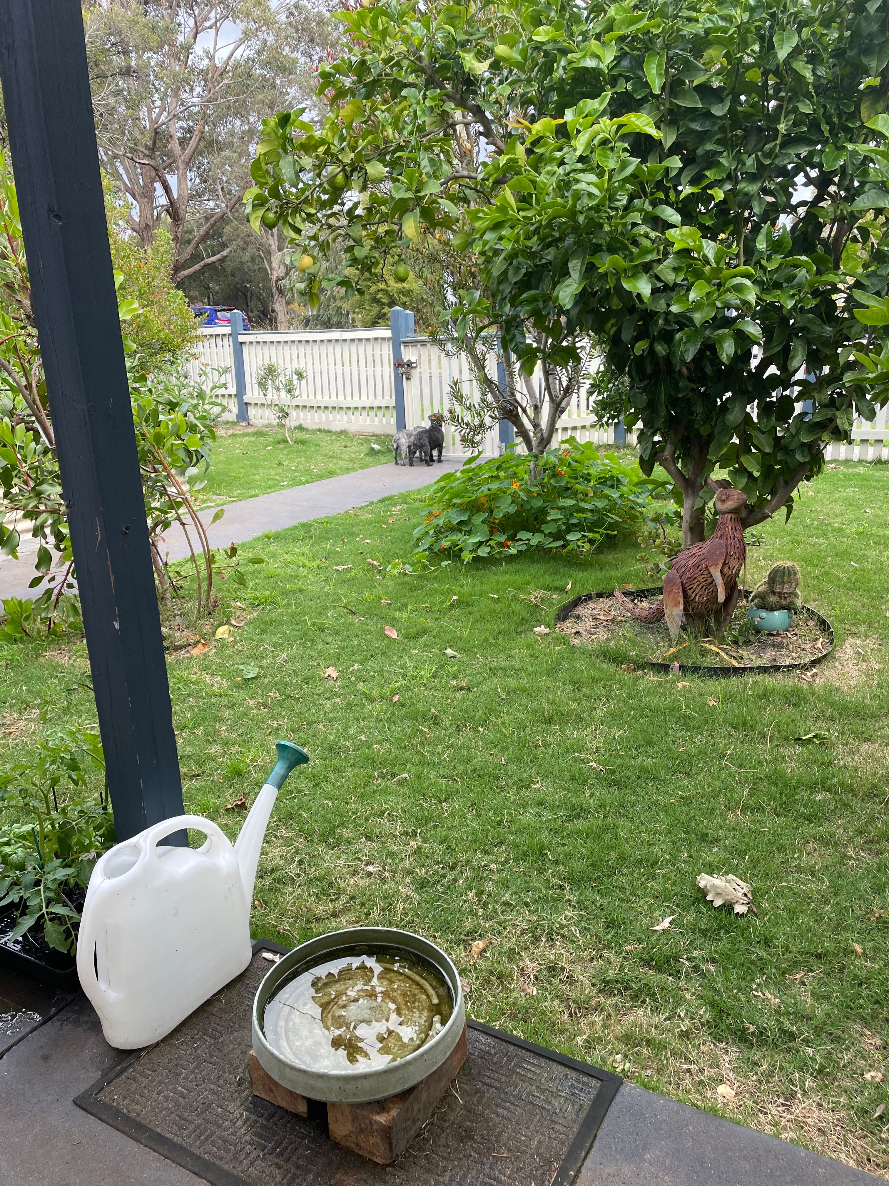 image-17