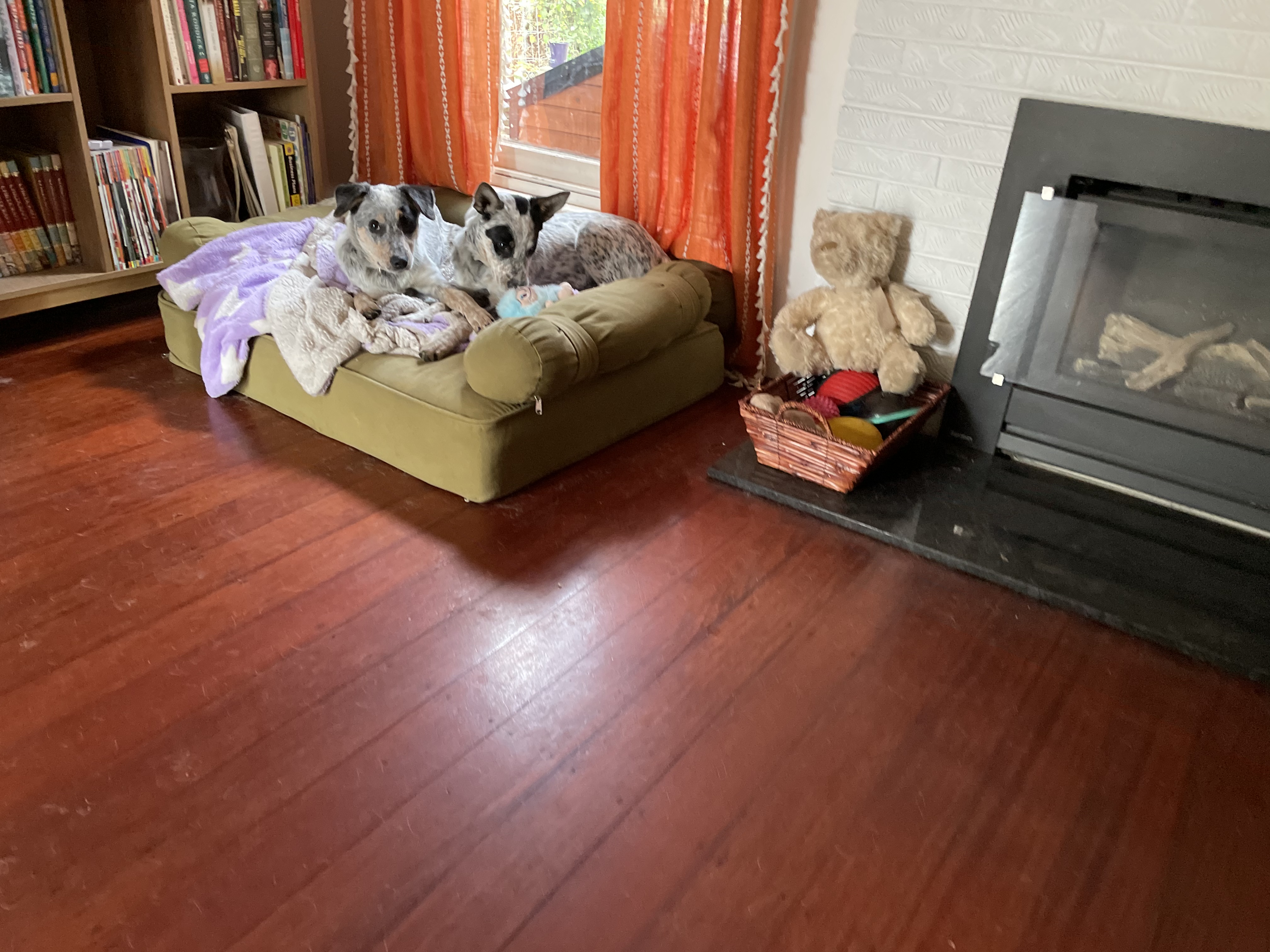 image-19