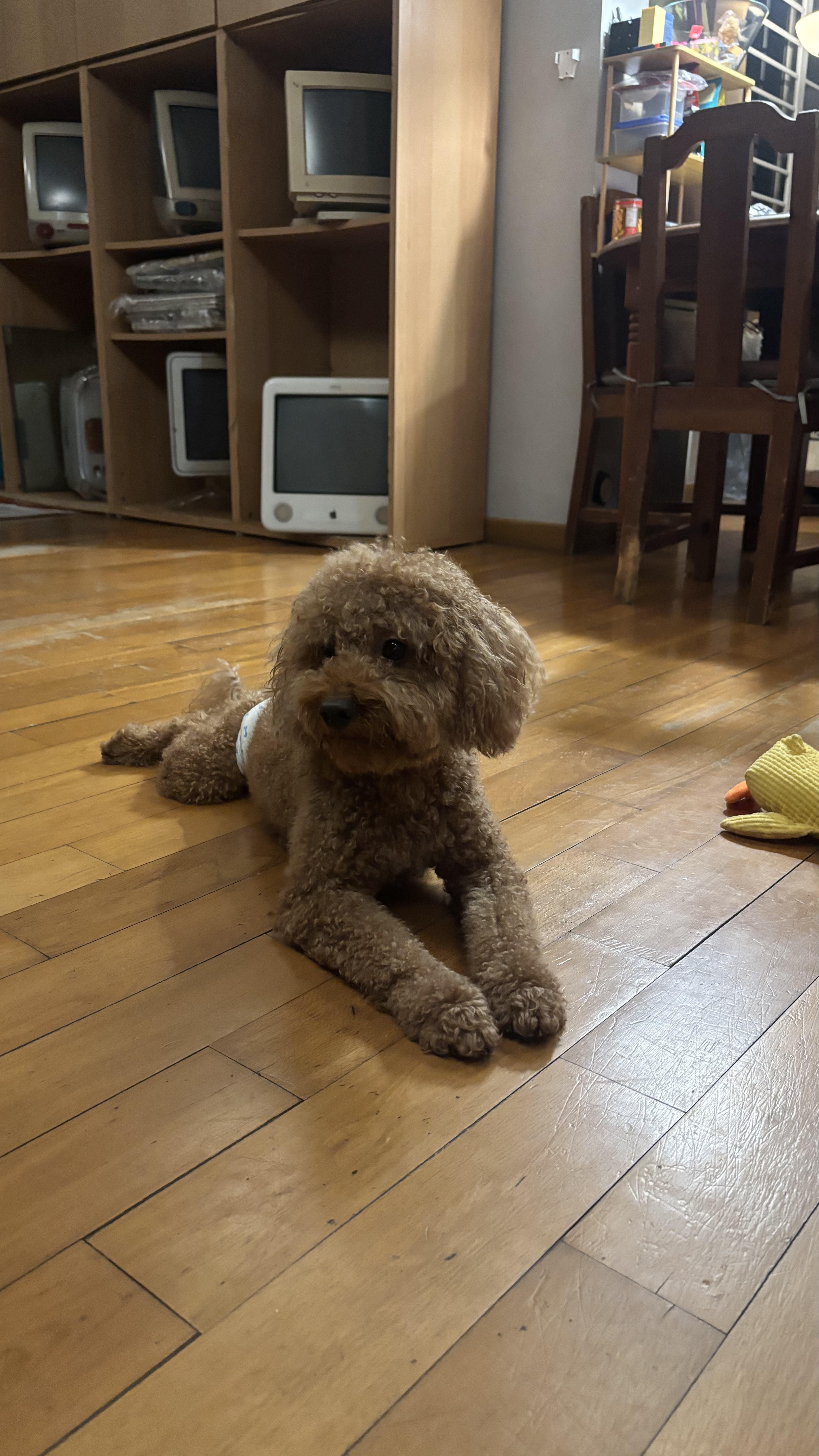 image-14