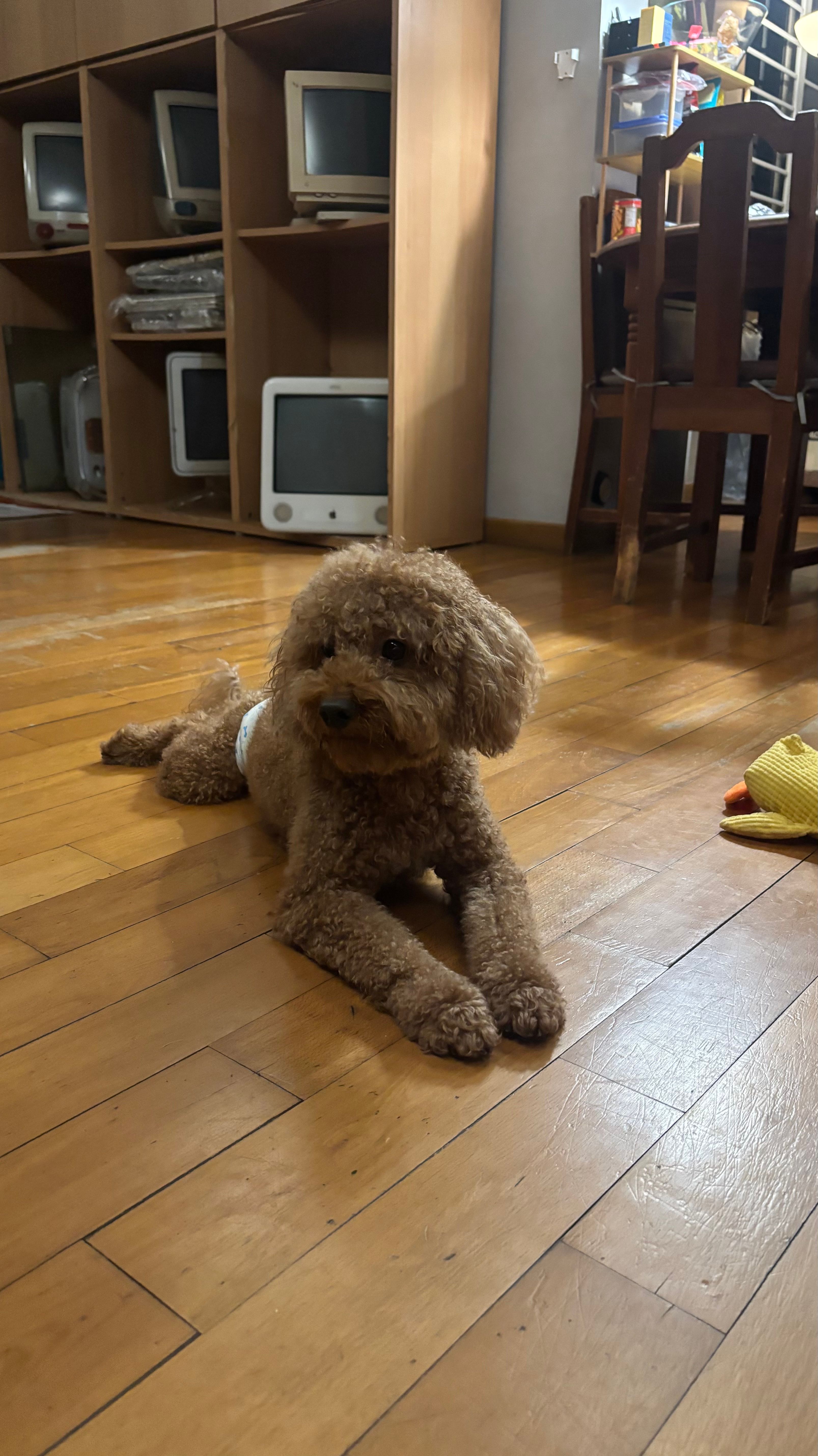 image-14