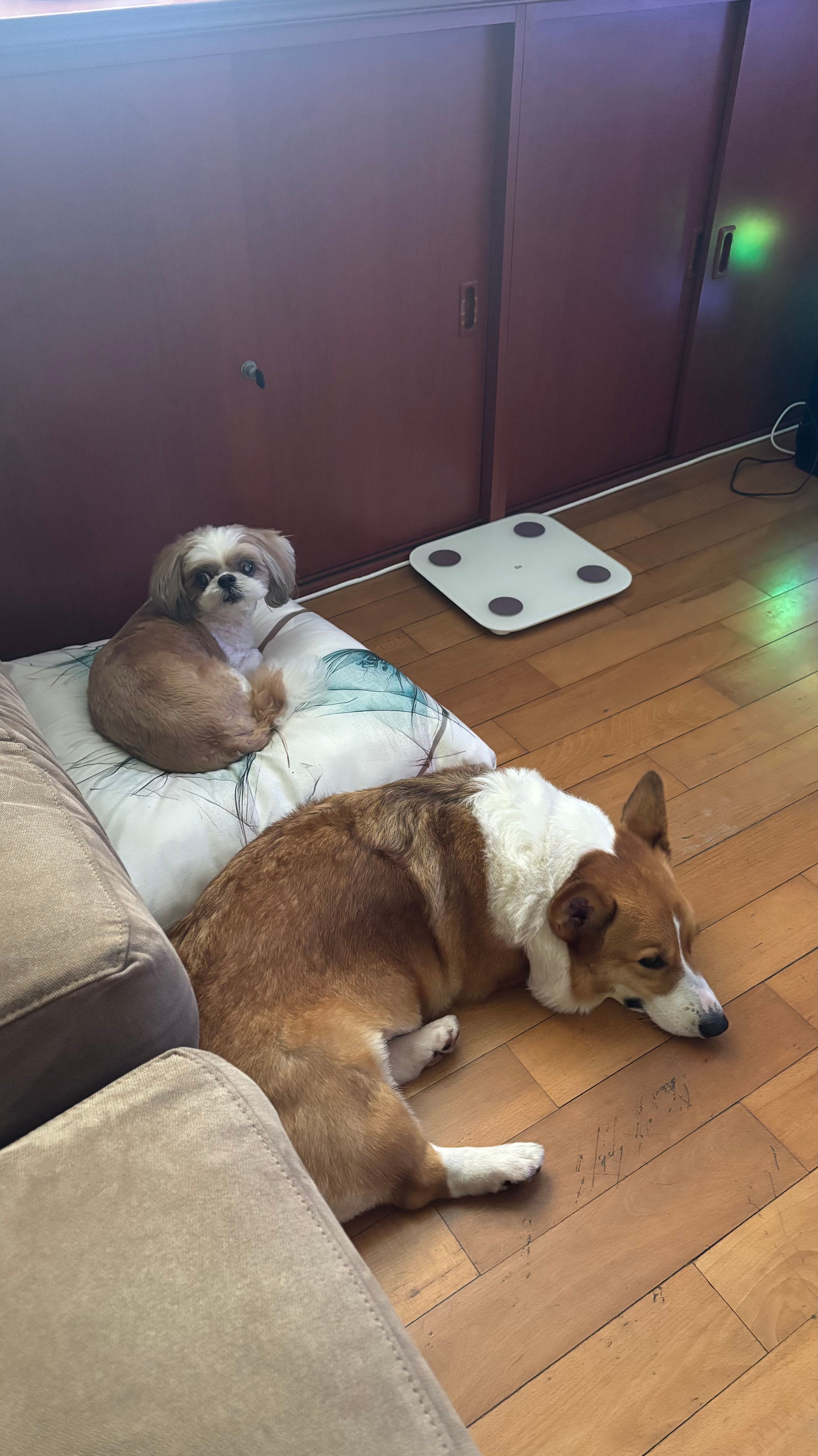 image-17