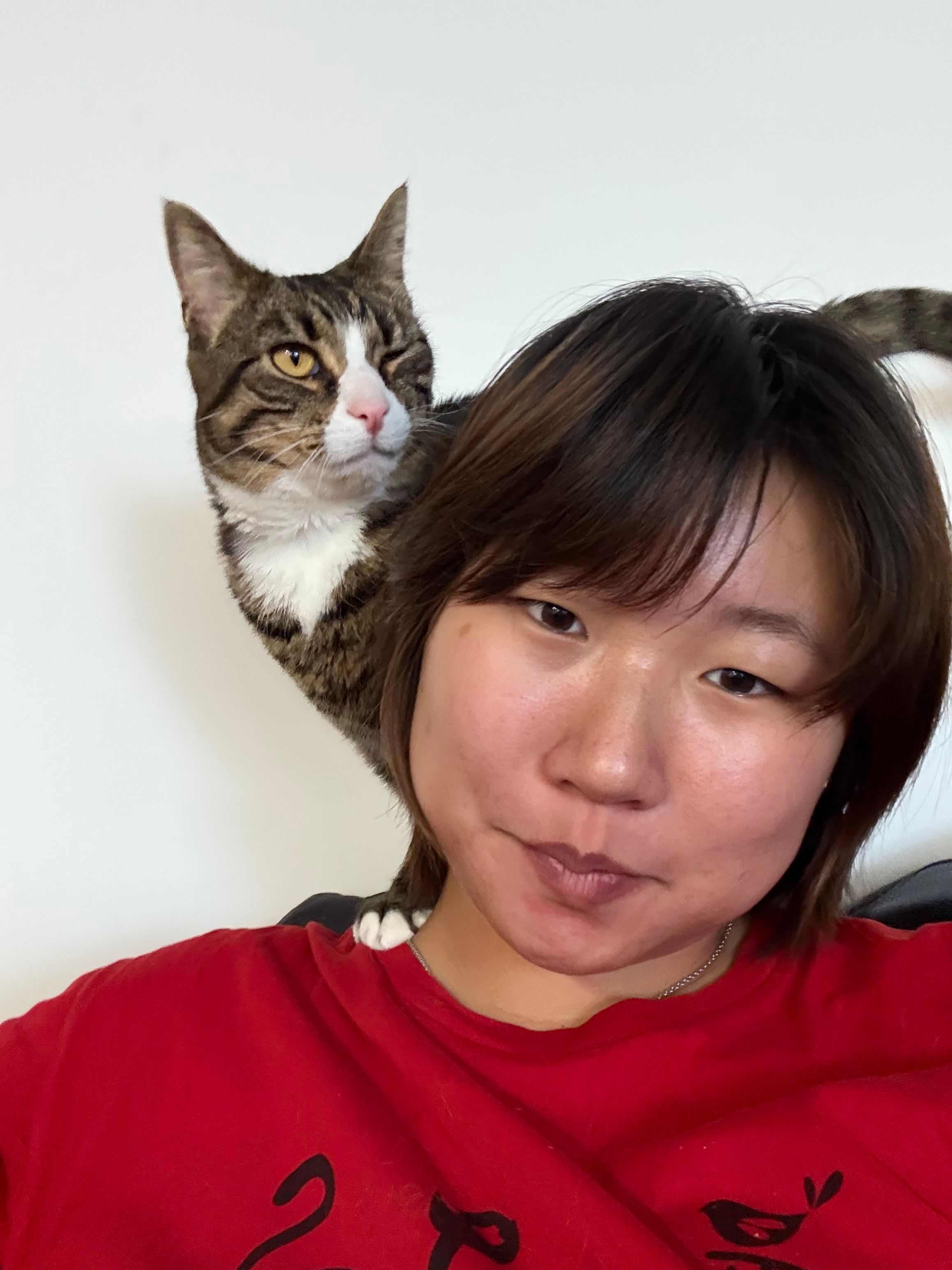 image-6