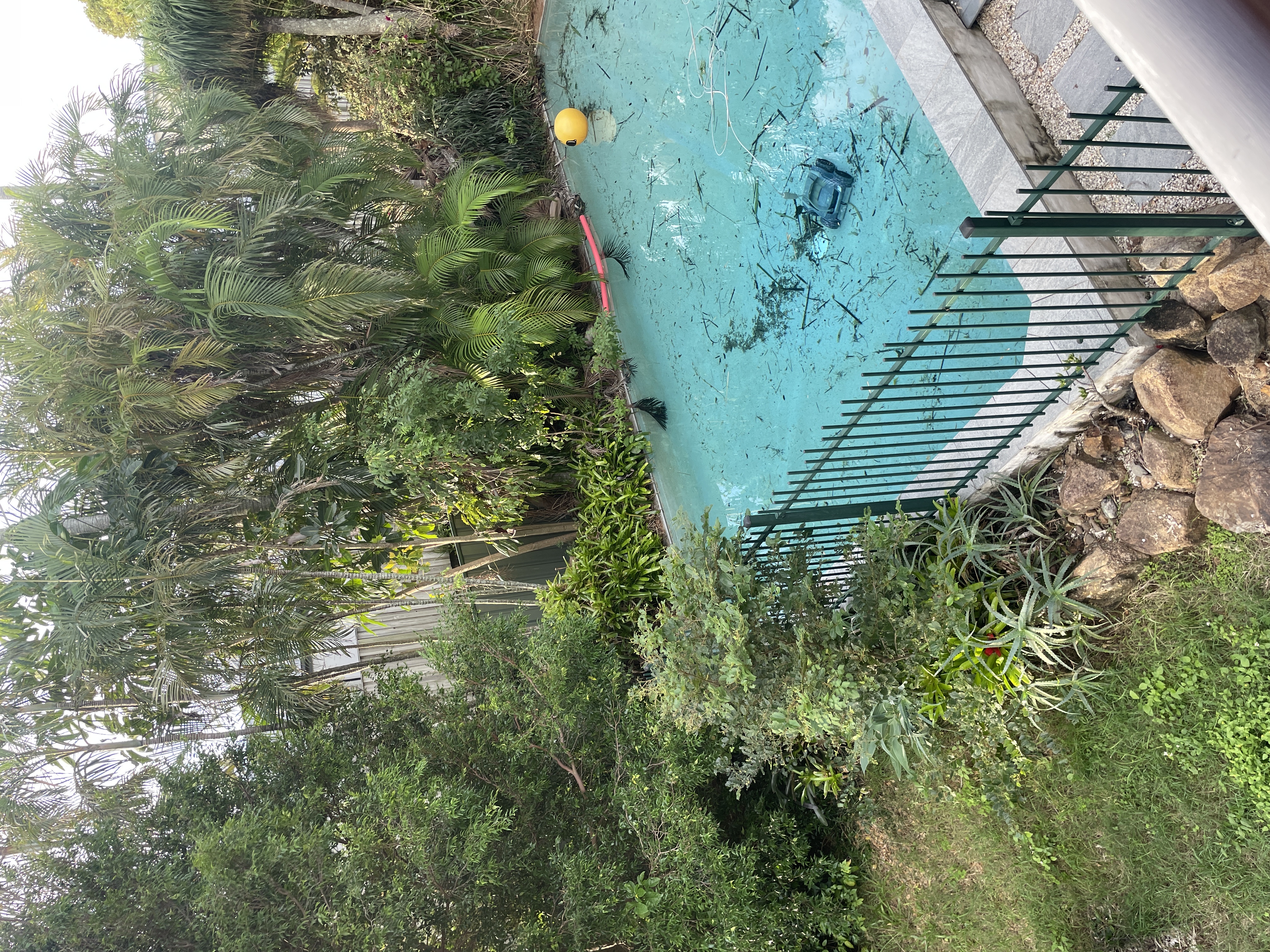 image-15