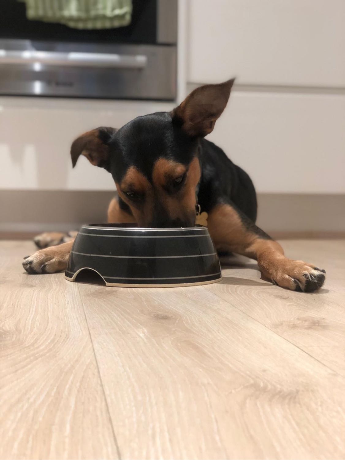 image-23