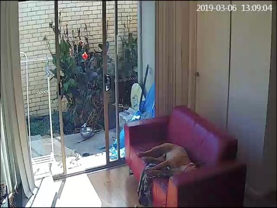 image-12
