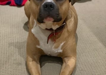 Benny